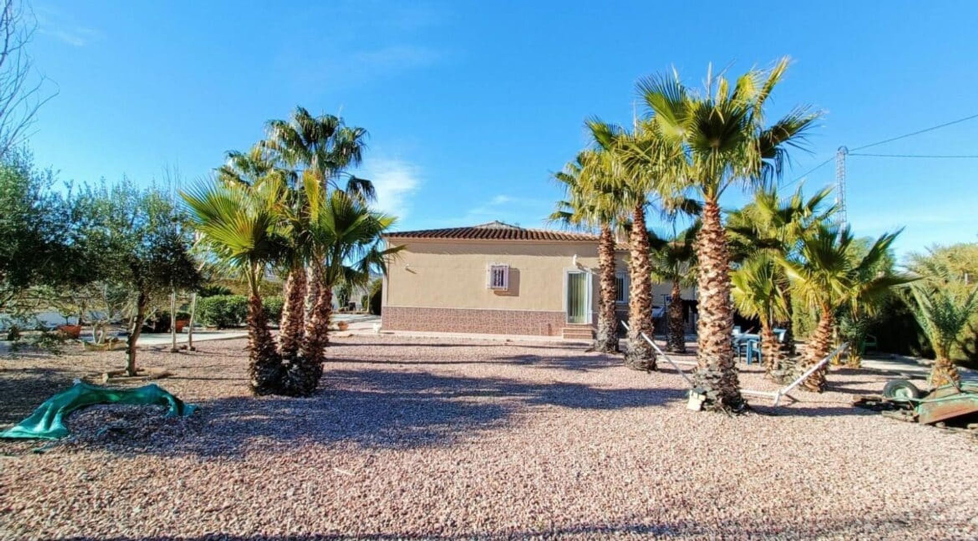 House in Hondón de los Frailes, Valencian Community 12525621