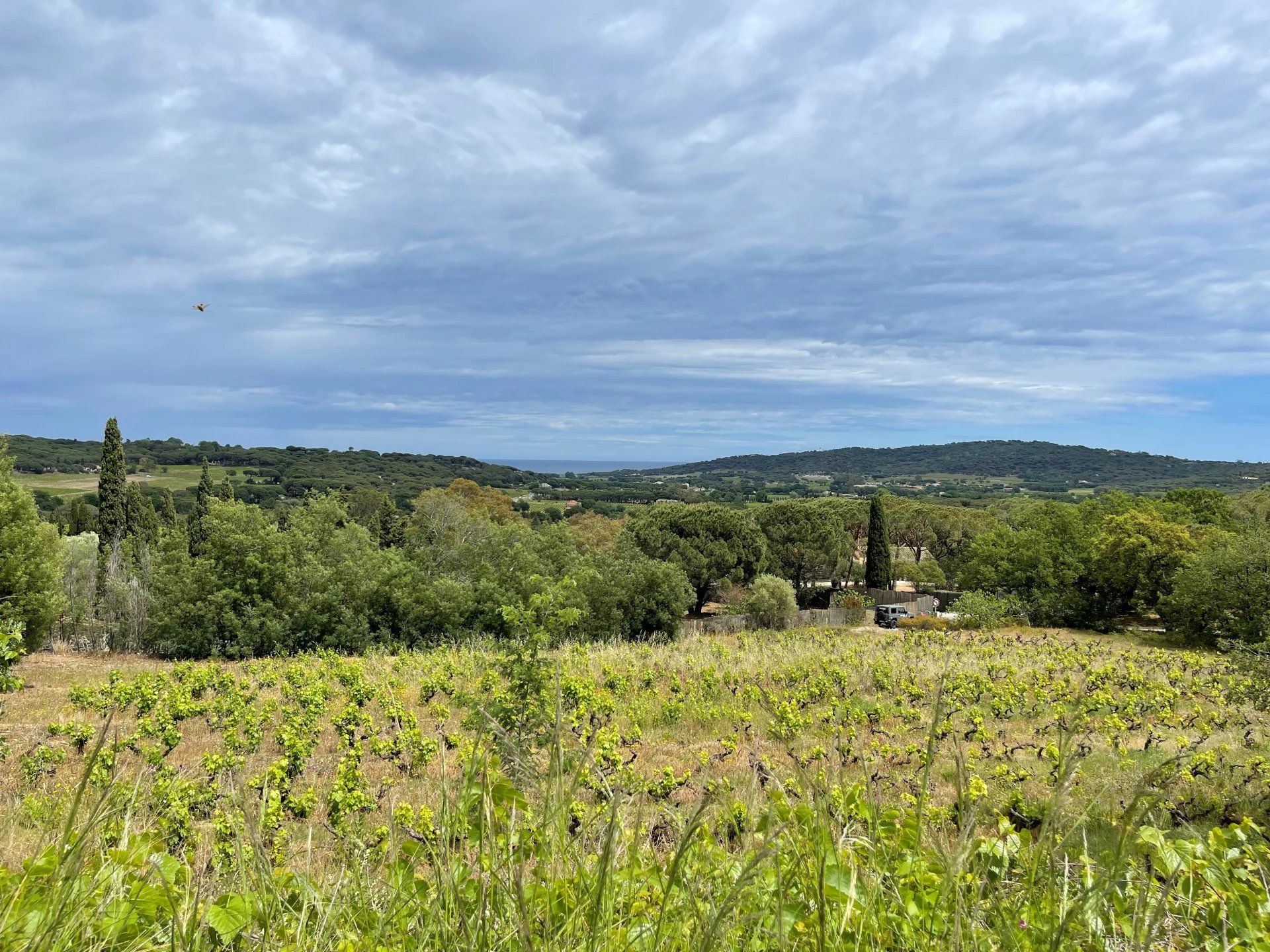 Huis in Ramatuelle, Provence-Alpes-Côte d'Azur 12525672