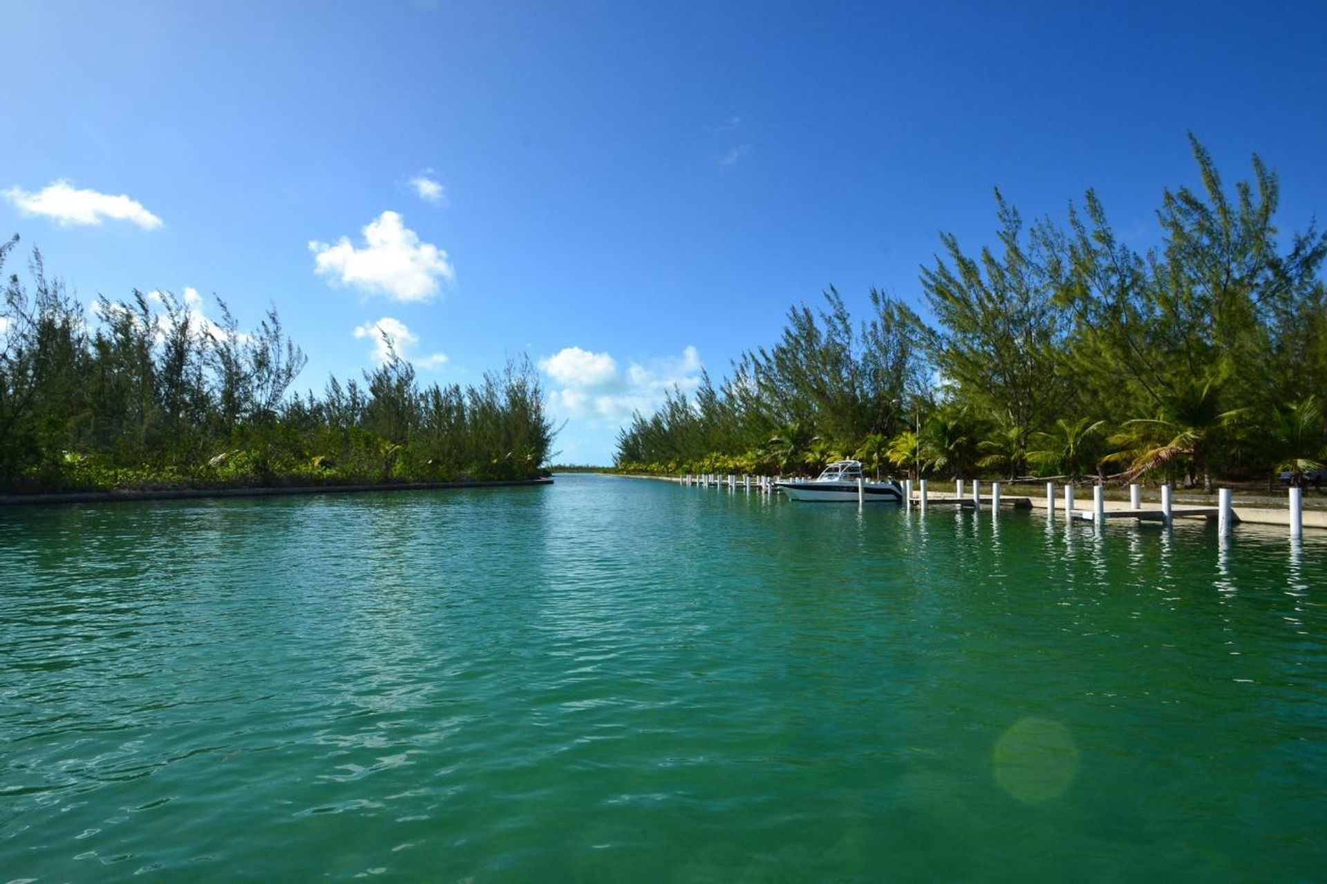 सम्मिलित में , Caicos Islands 12526876