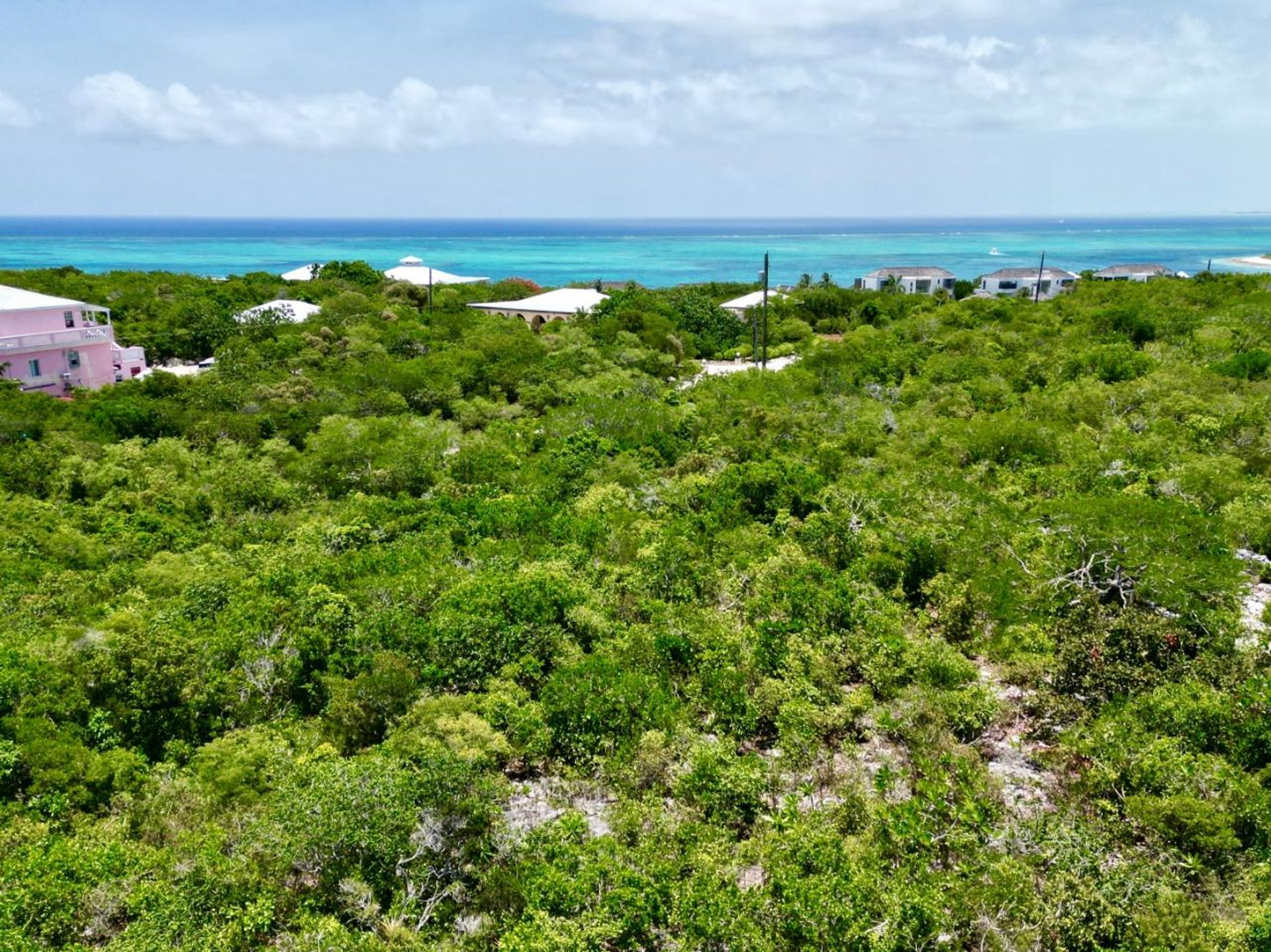 Osakehuoneisto sisään , Caicos Islands 12526882