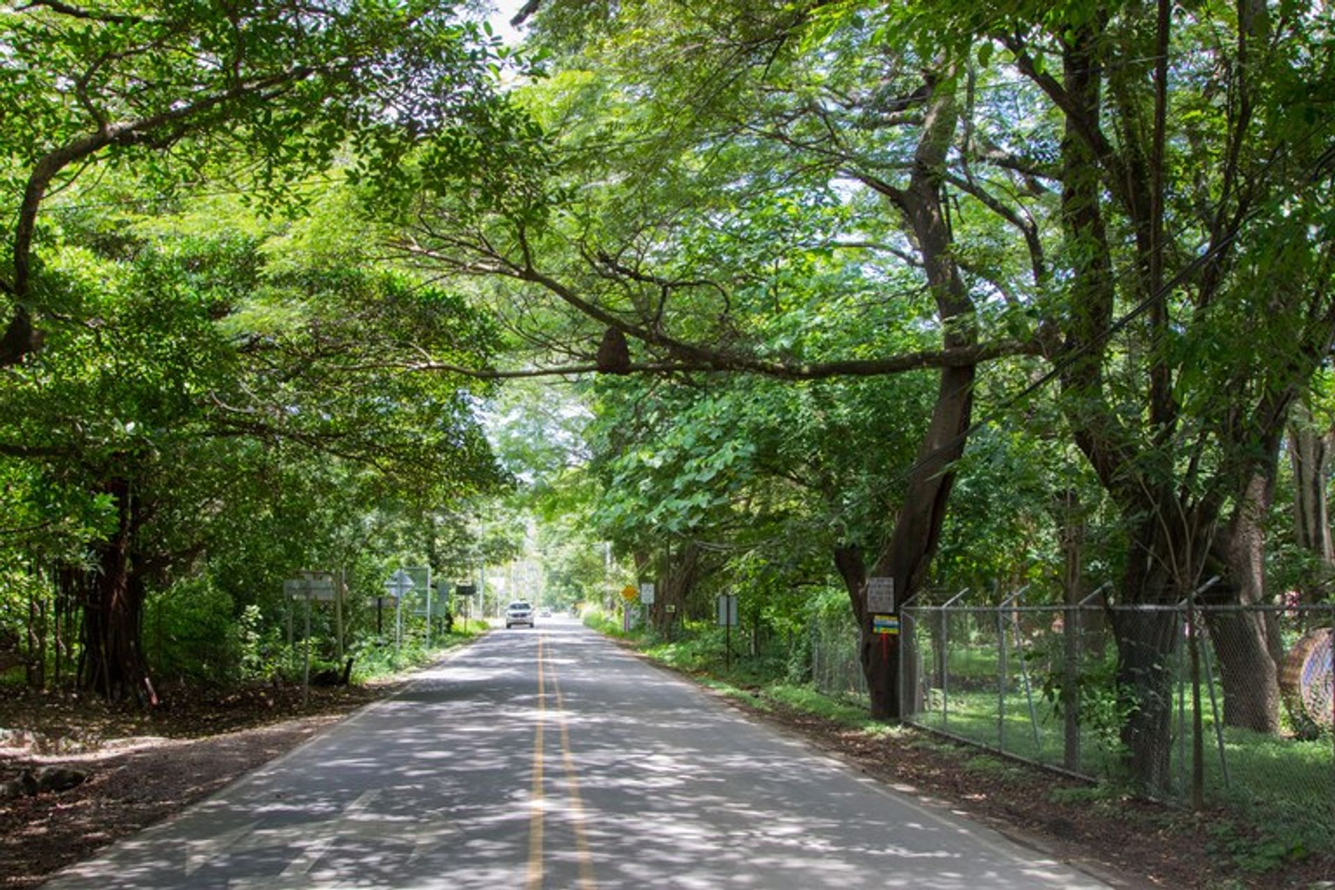 House in , Provincia de Guanacaste 12528603