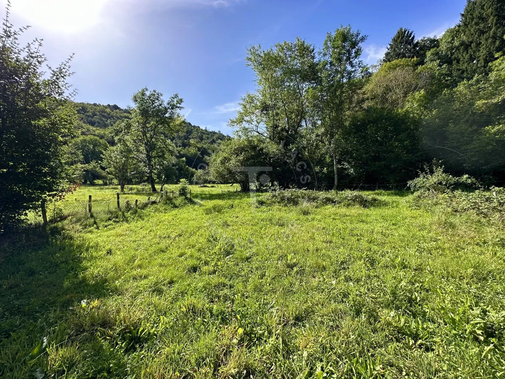 Terre dans Duingt, Auvergne-Rhône-Alpes 12529838