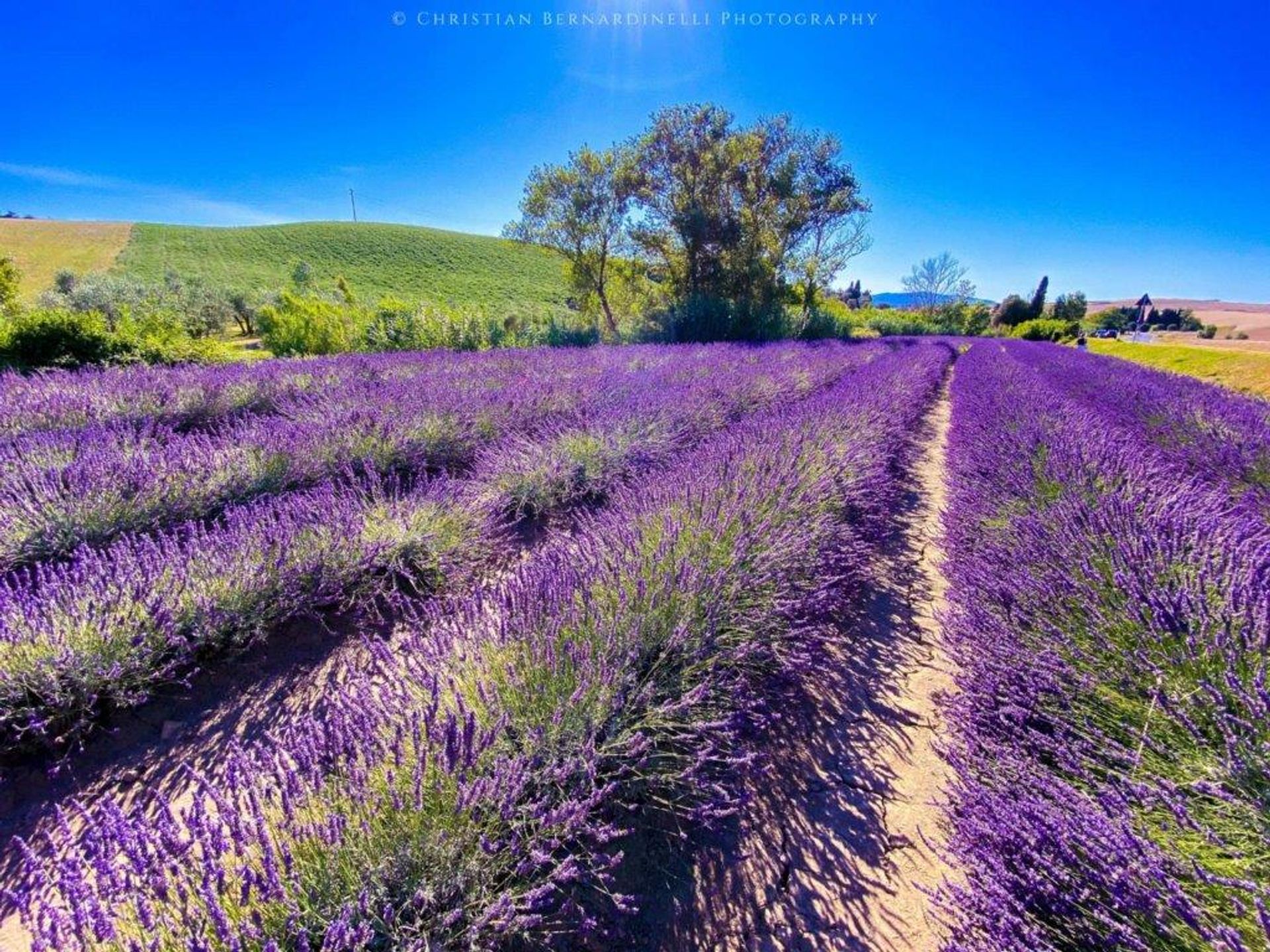 بيت في Montefollonico, Toscana 12529877