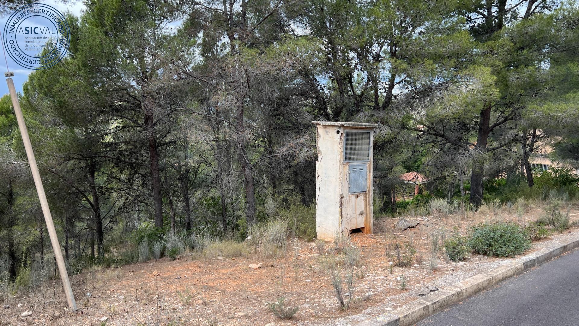 Outro no borriol, Valência 12530165