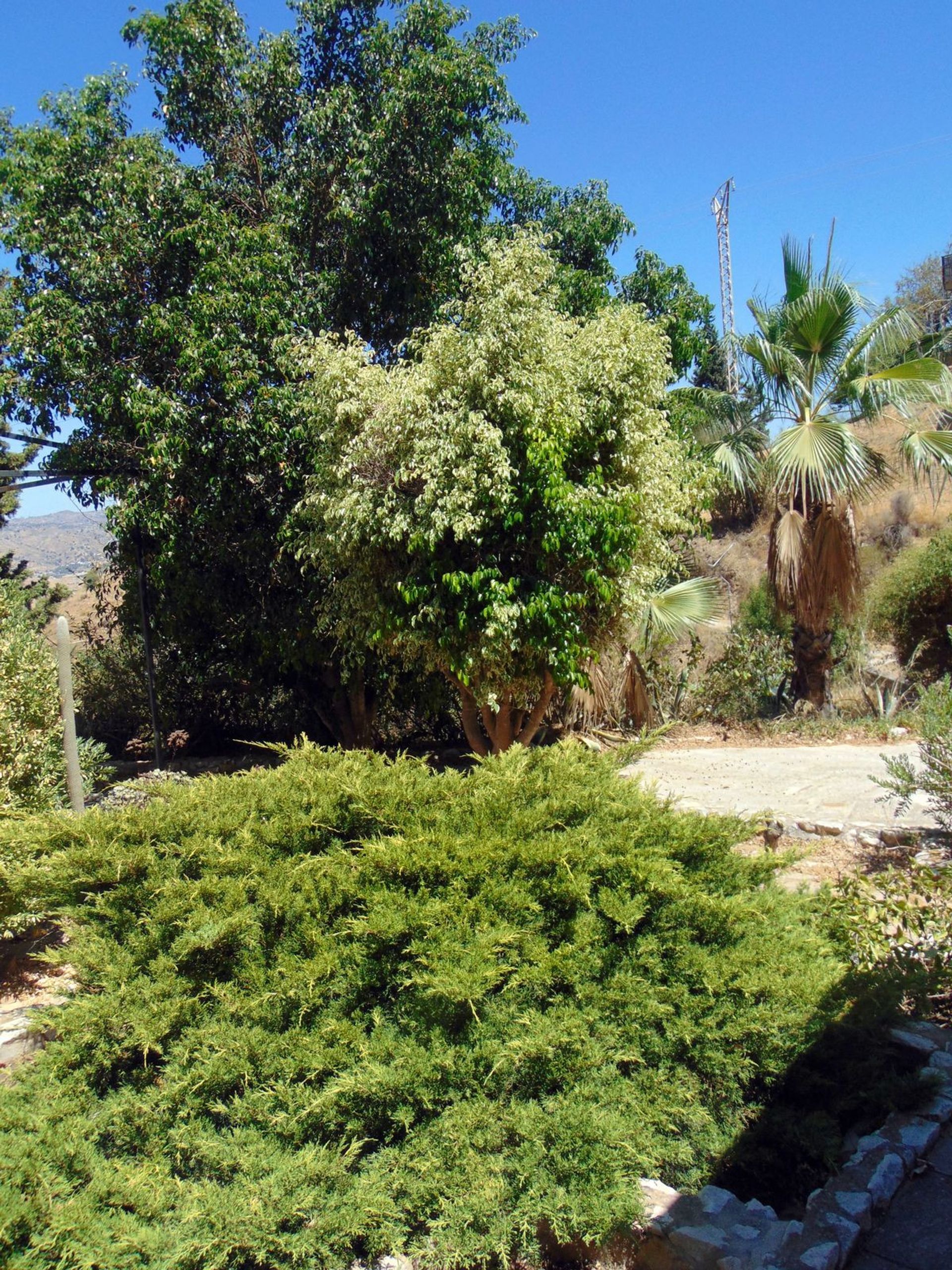 loger dans Cártama, Andalusia 12531098