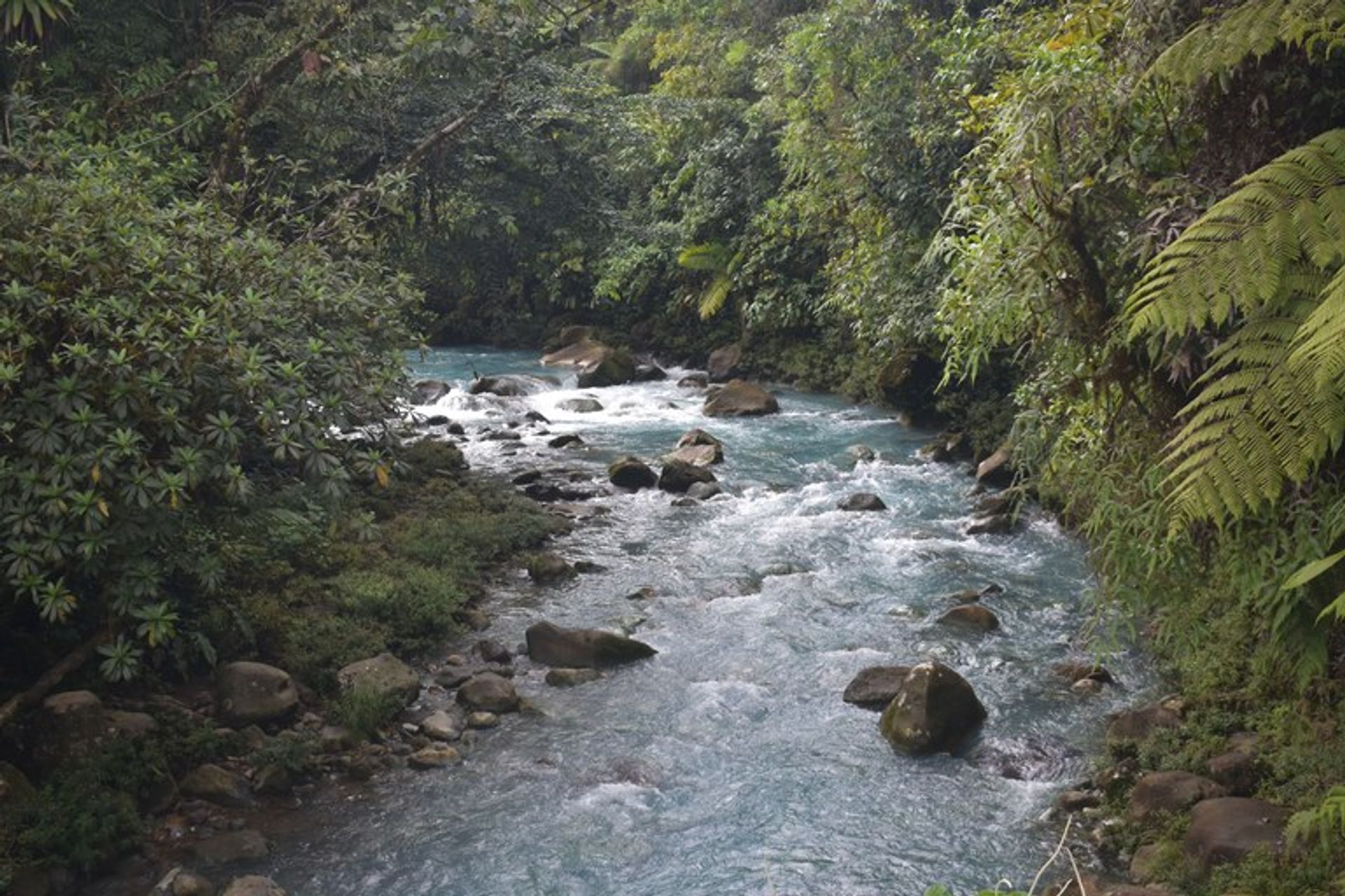 Συγκυριαρχία σε , Provincia de Alajuela 12531327