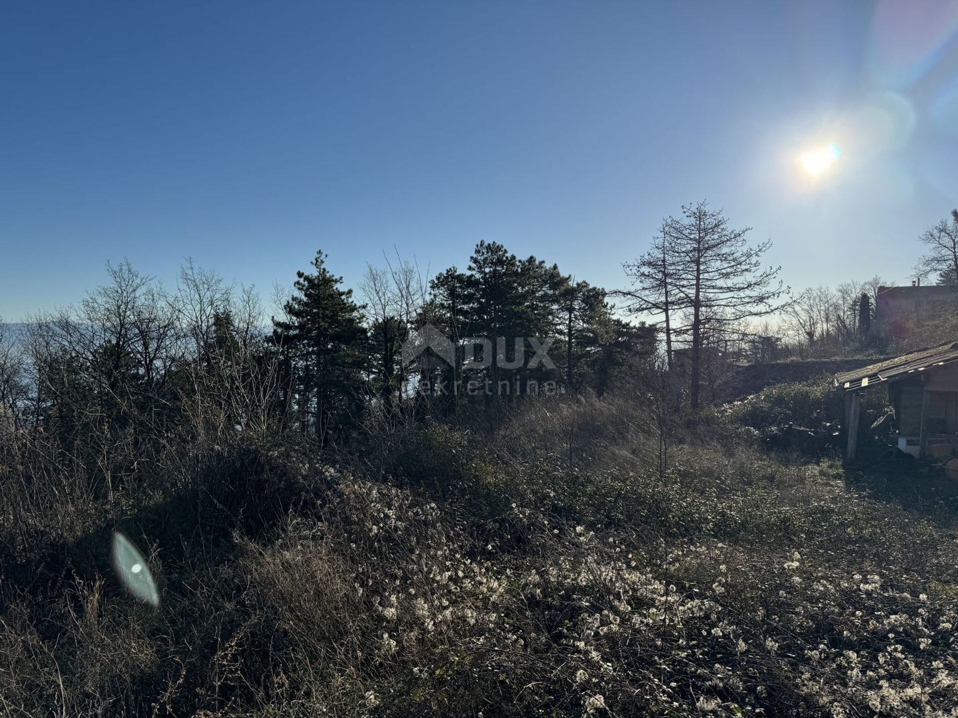 土地 在 图利塞维察, 滨海边疆区-山区祖帕尼娅 12531457