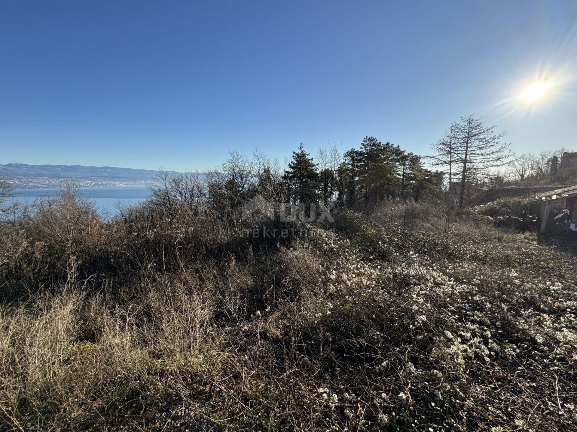 土地 在 图利塞维察, 滨海边疆区-山区祖帕尼娅 12531457