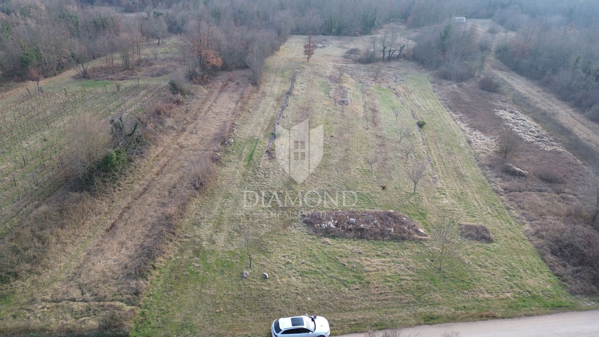 Land in Labin, Istria County 12531618