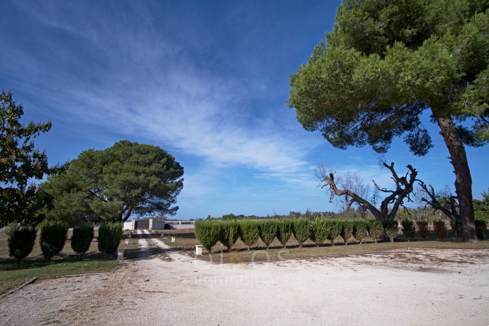 casa en Francavilla Fontana, Apulia 12532197