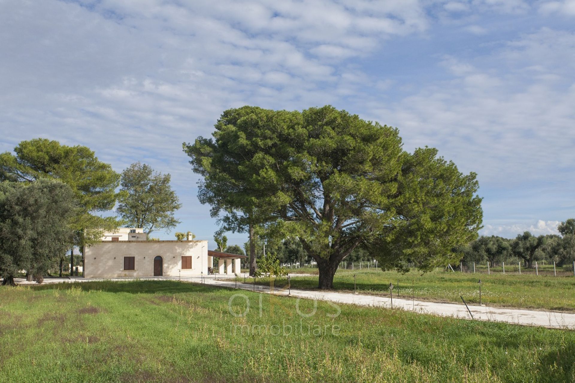 casa en Francavilla Fontana, Apulia 12532197