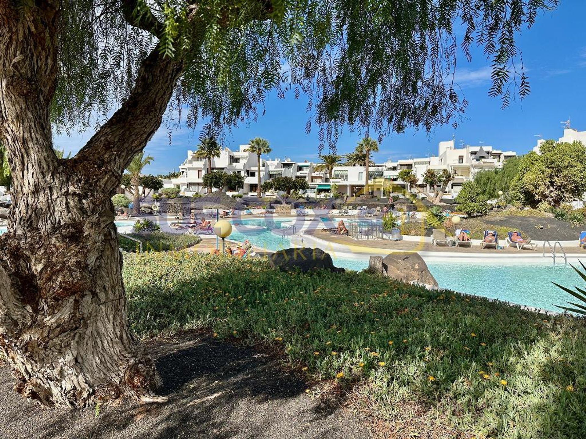 सम्मिलित में Costa Teguise, Canarias 12532560