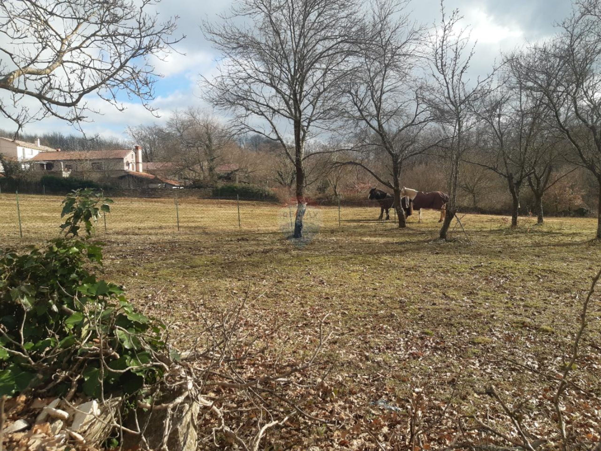 Tierra en Zminj, Istarska Županija 12533490