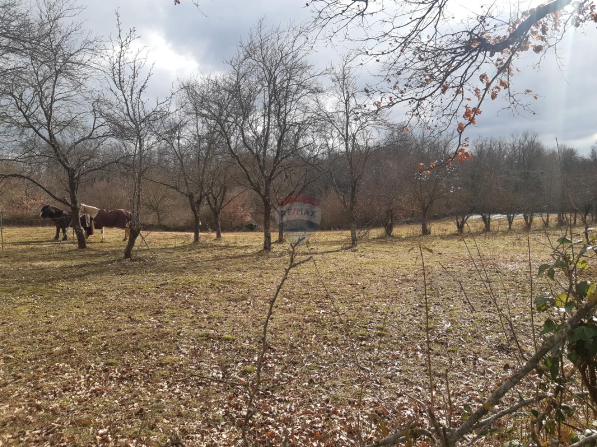 Tierra en Zminj, Istarska Županija 12533490