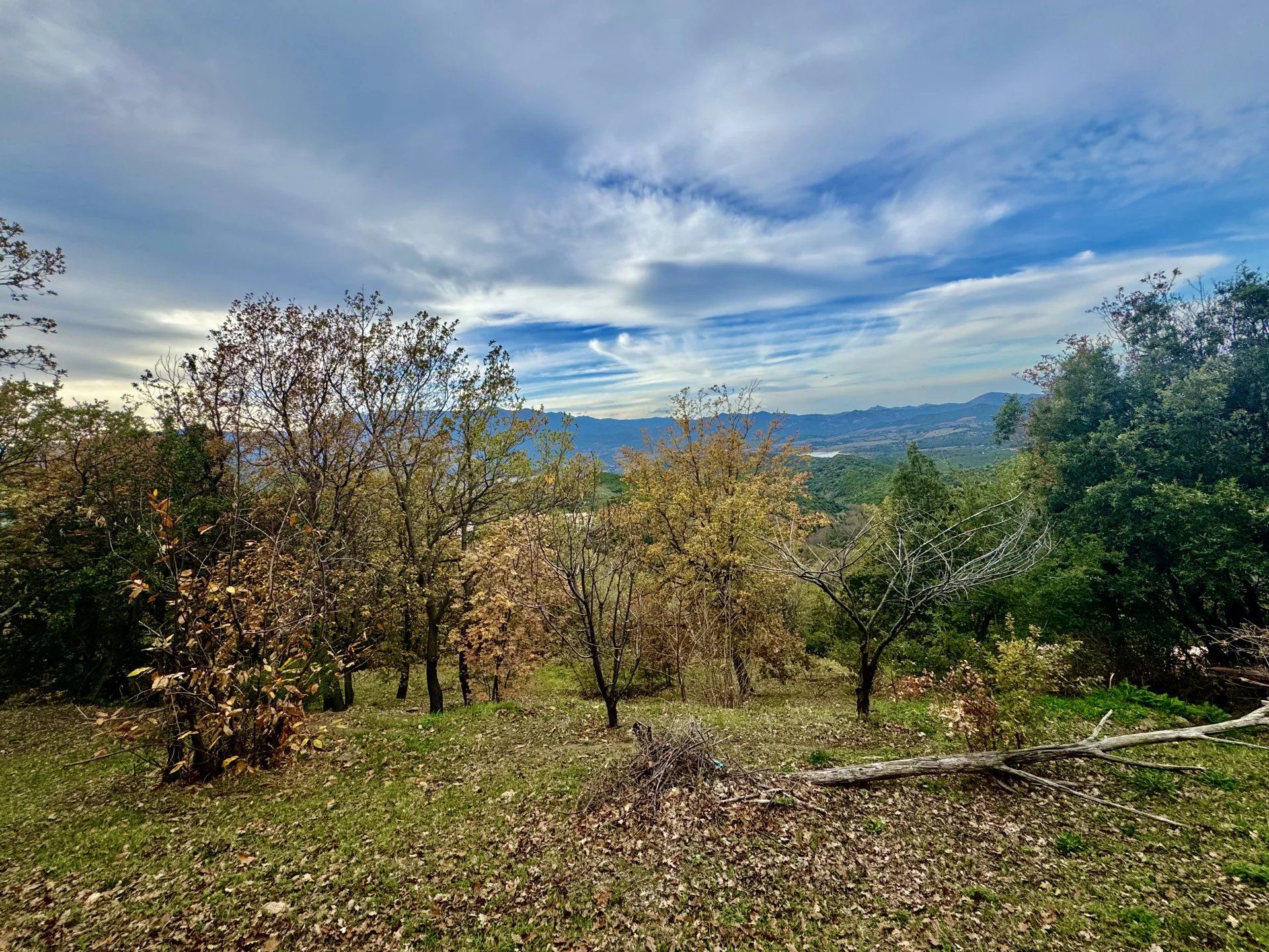 Land i Olmeta-di-Tuda, Haute-Corse 12533525