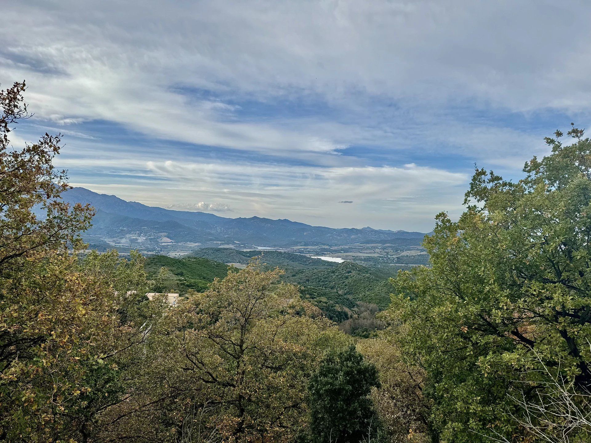 Terre dans Olmeta-di-Tuda, la Corse 12533525