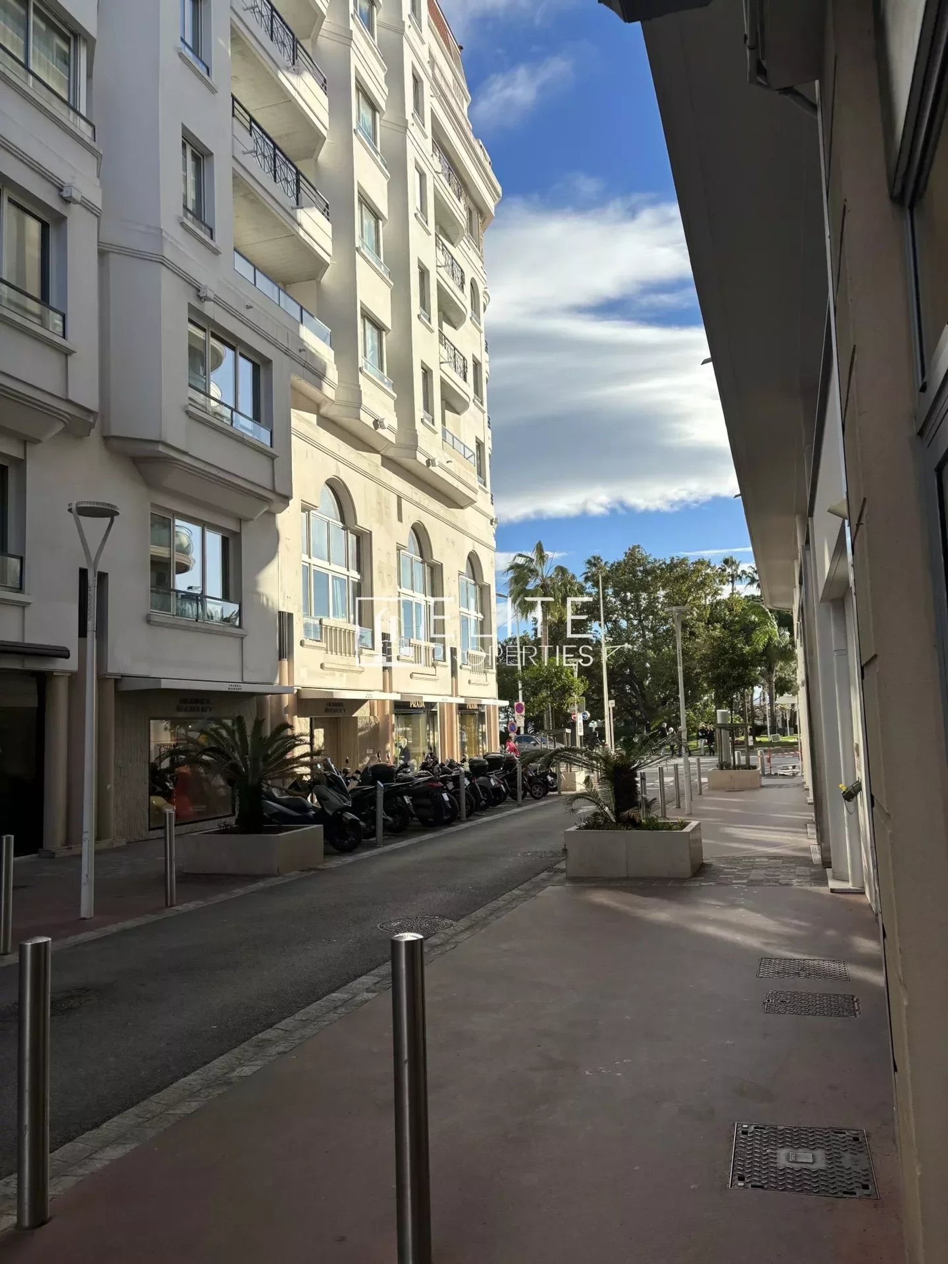 Autre dans Cannes, Provence-Alpes-Côte d'Azur 12533544