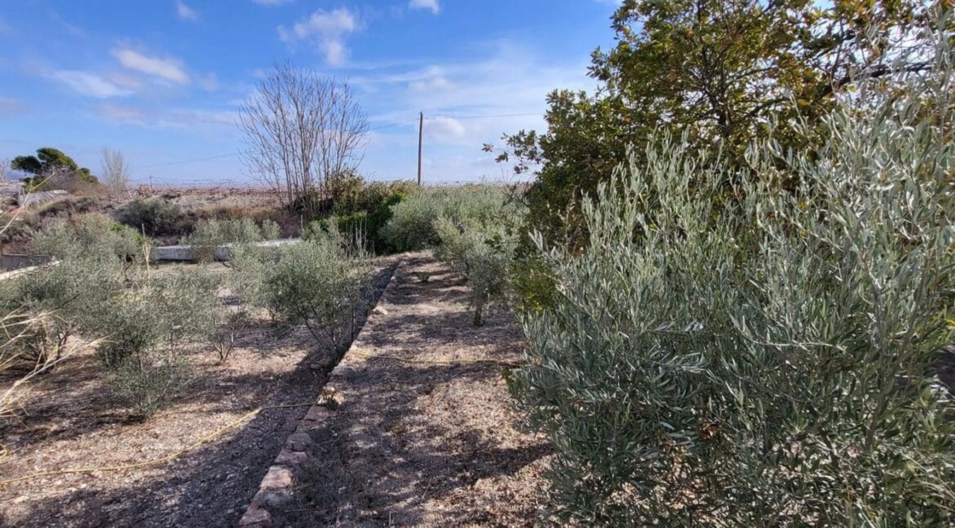 loger dans La Romana, Alicante, Valencian Community 12534030