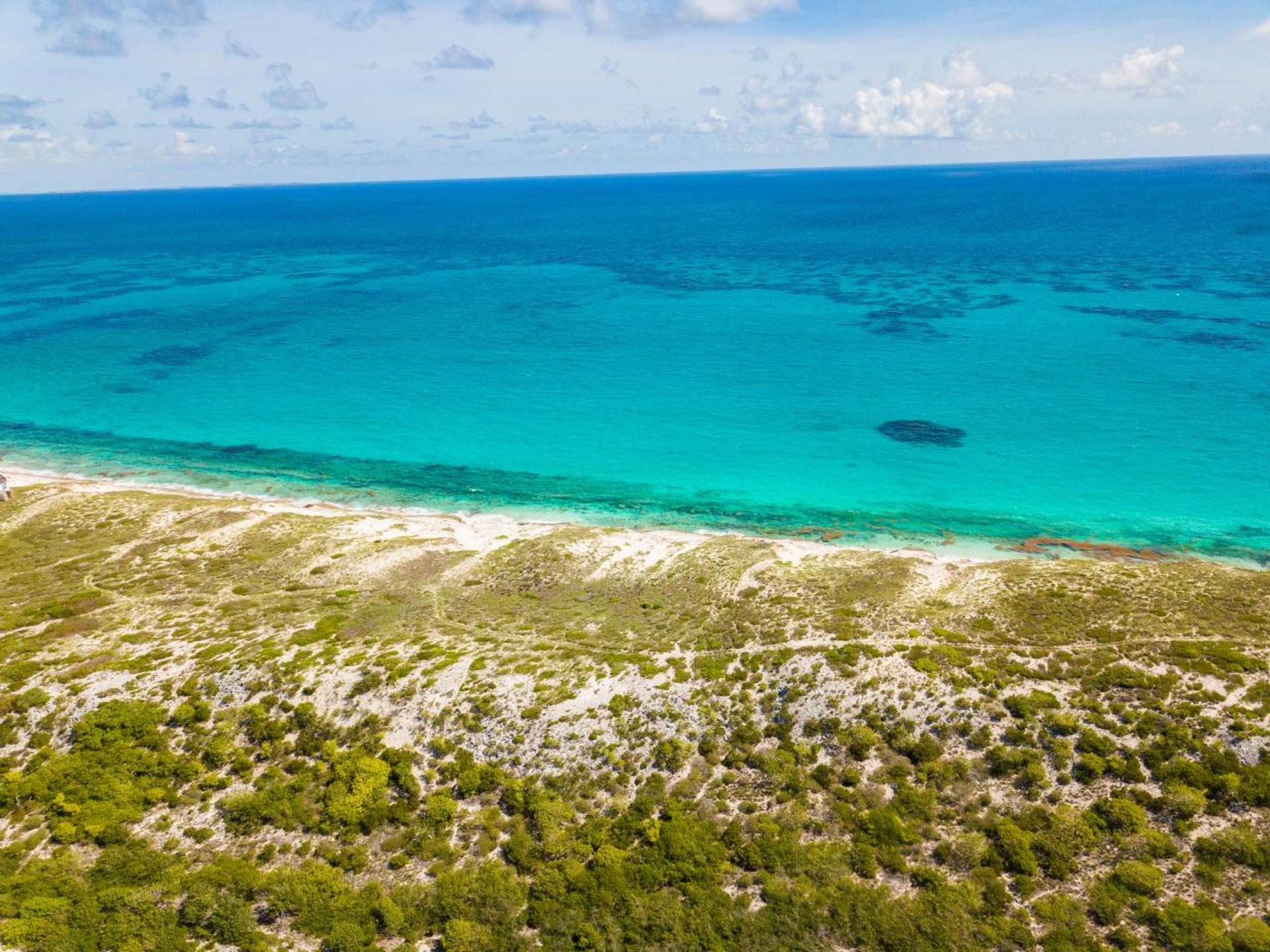 קוֹנדוֹמִינִיוֹן ב , Caicos Islands 12534402