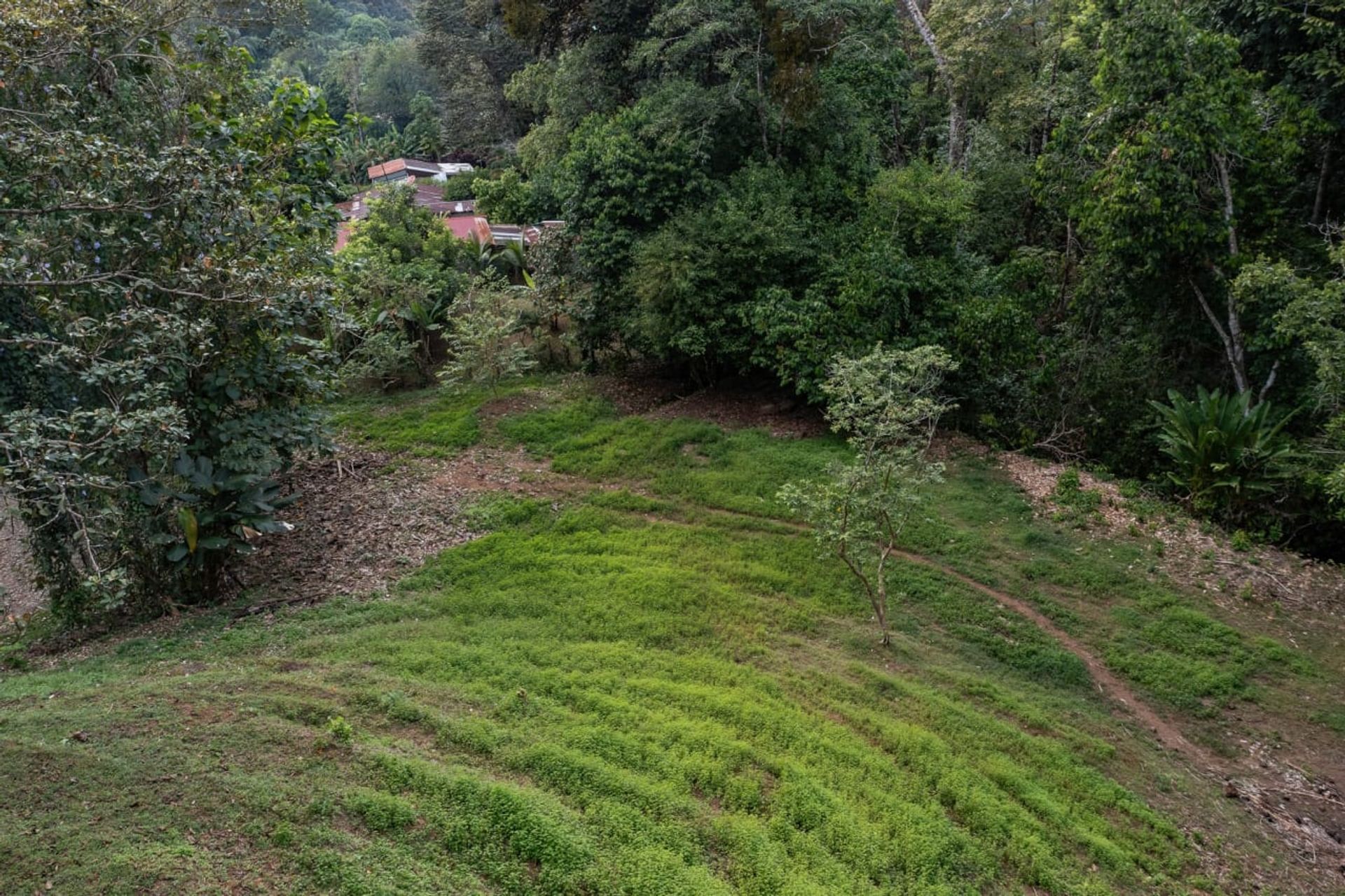 casa en Savegre de Aguirre, Puntarenas Province 12534625