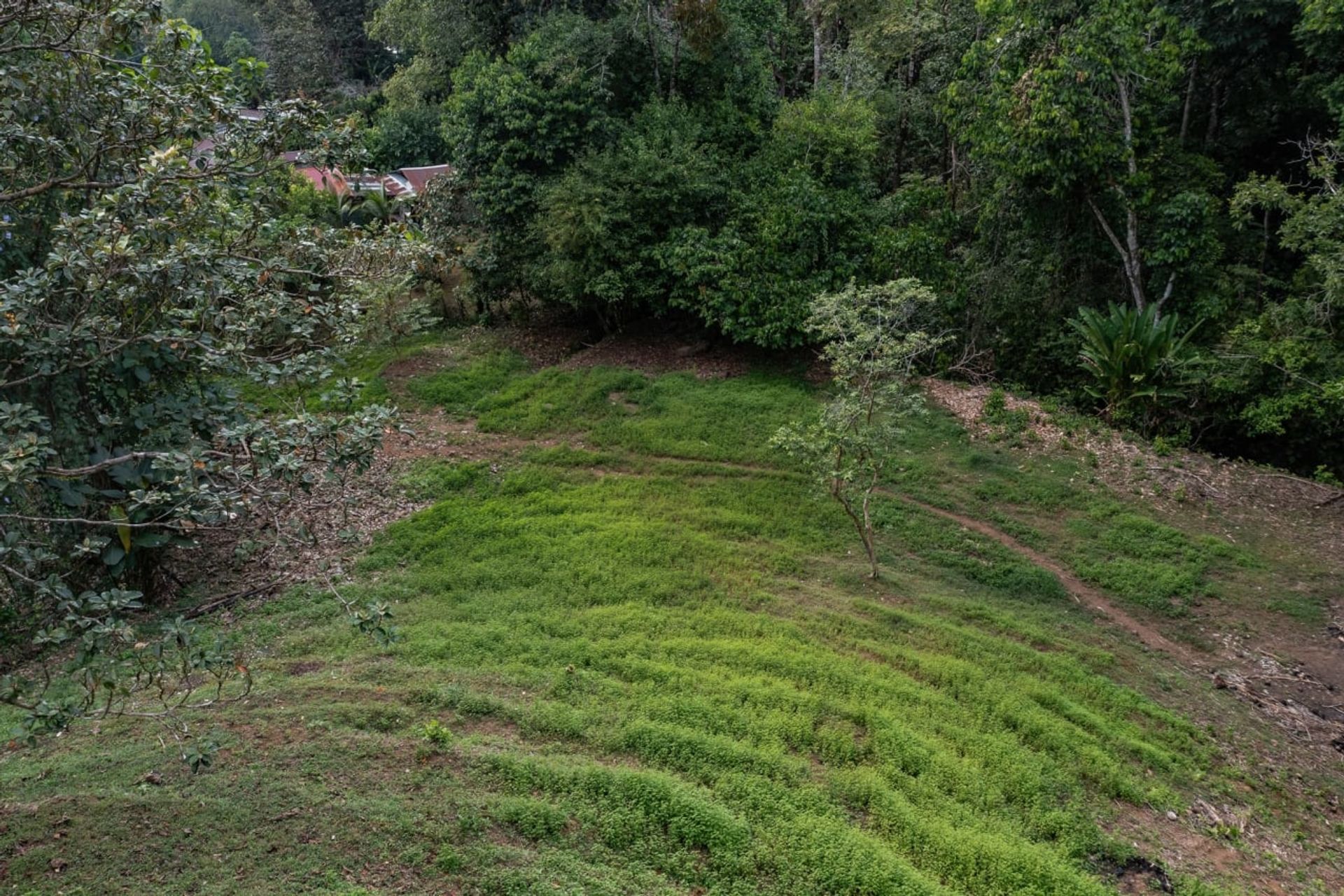 casa en Savegre de Aguirre, Puntarenas Province 12534625