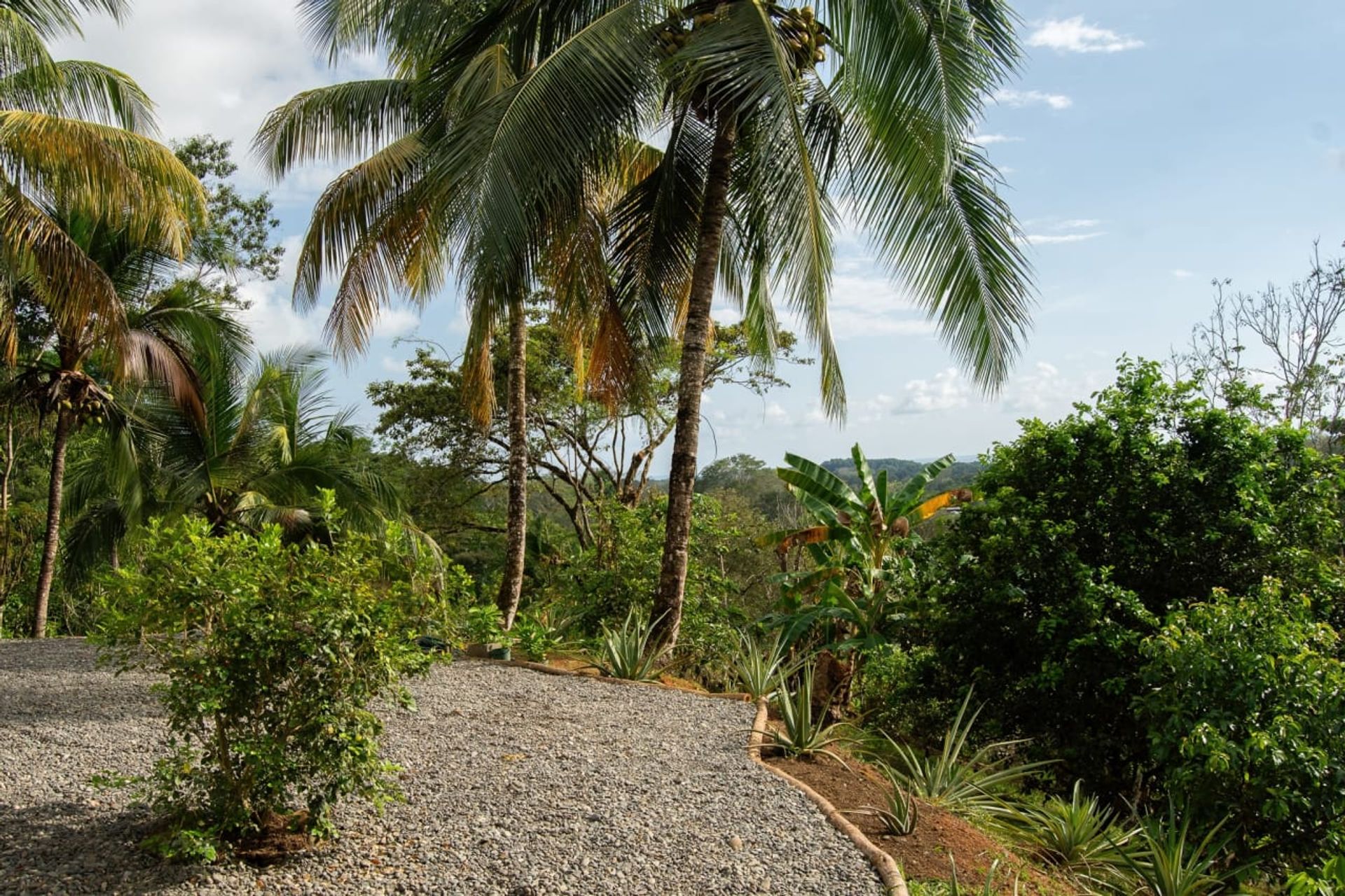 casa en Savegre de Aguirre, Puntarenas Province 12534625