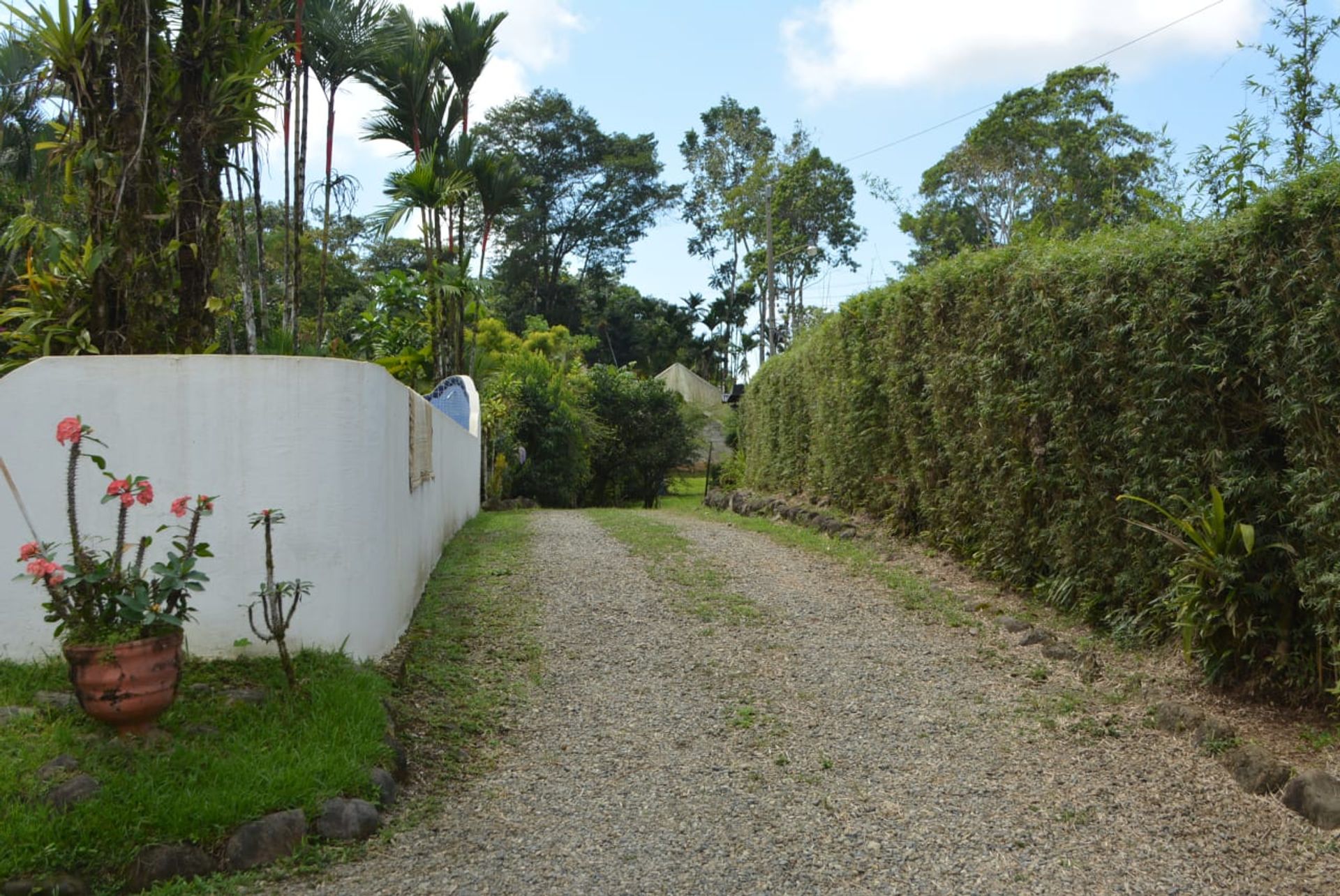 casa en Platanillo, San José Province 12534628