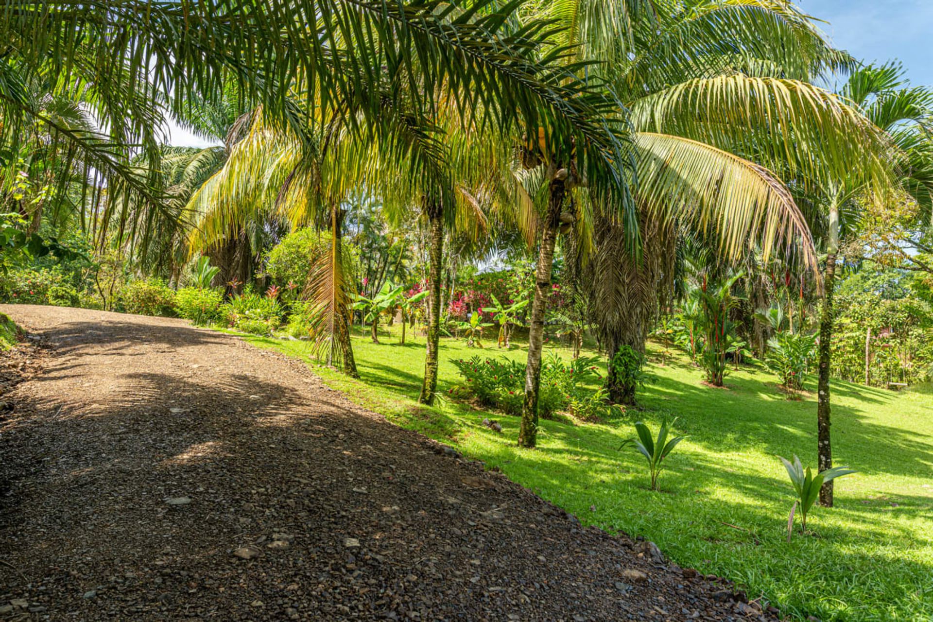 Talo sisään , Provincia de Puntarenas 12534631