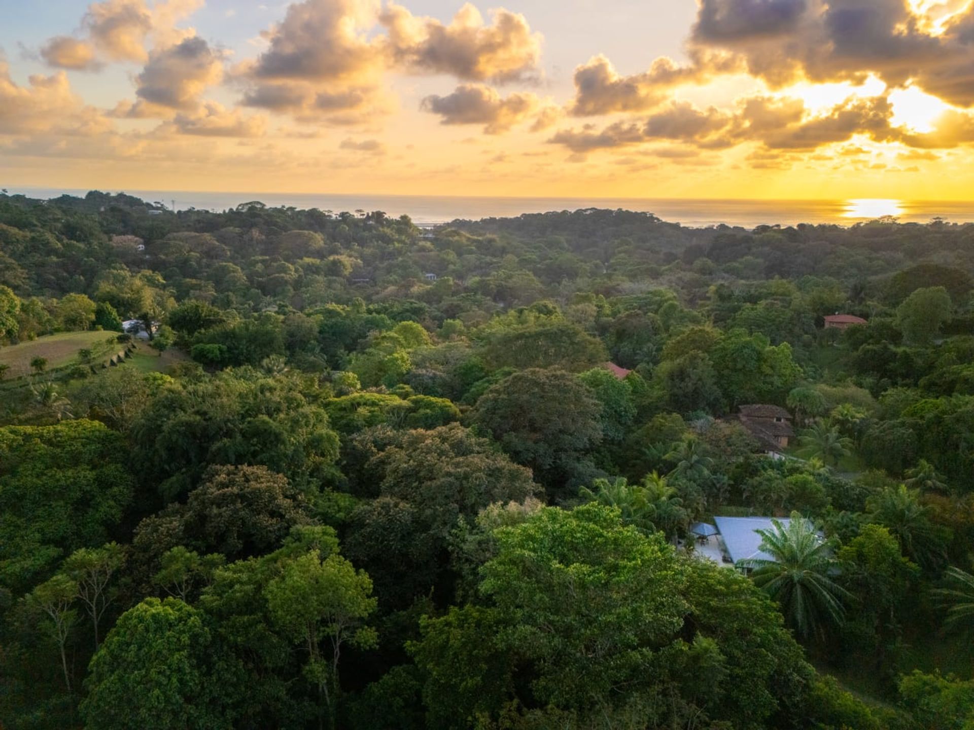 casa no Buenos Aires, São José 12534631