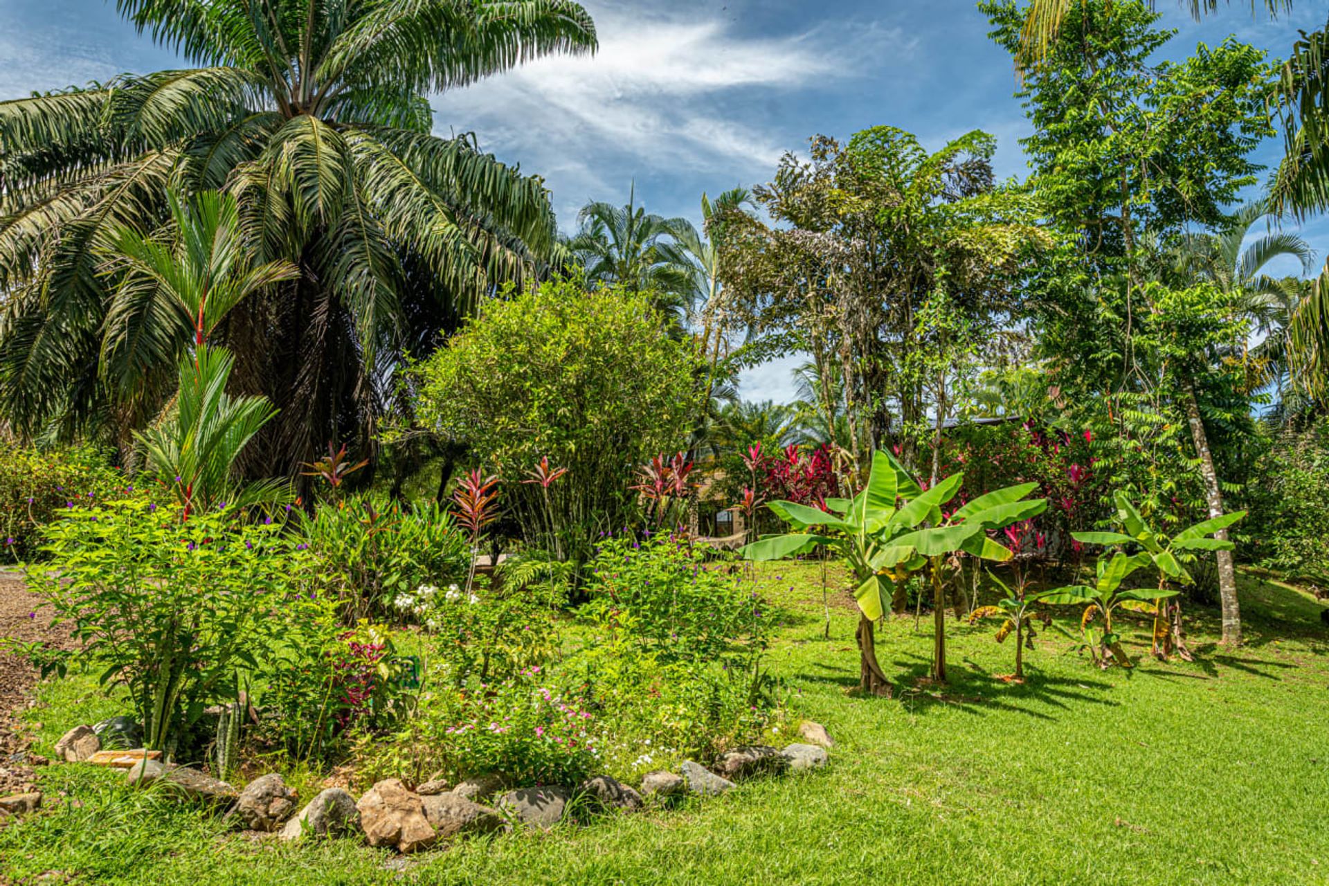 Talo sisään , Provincia de Puntarenas 12534631