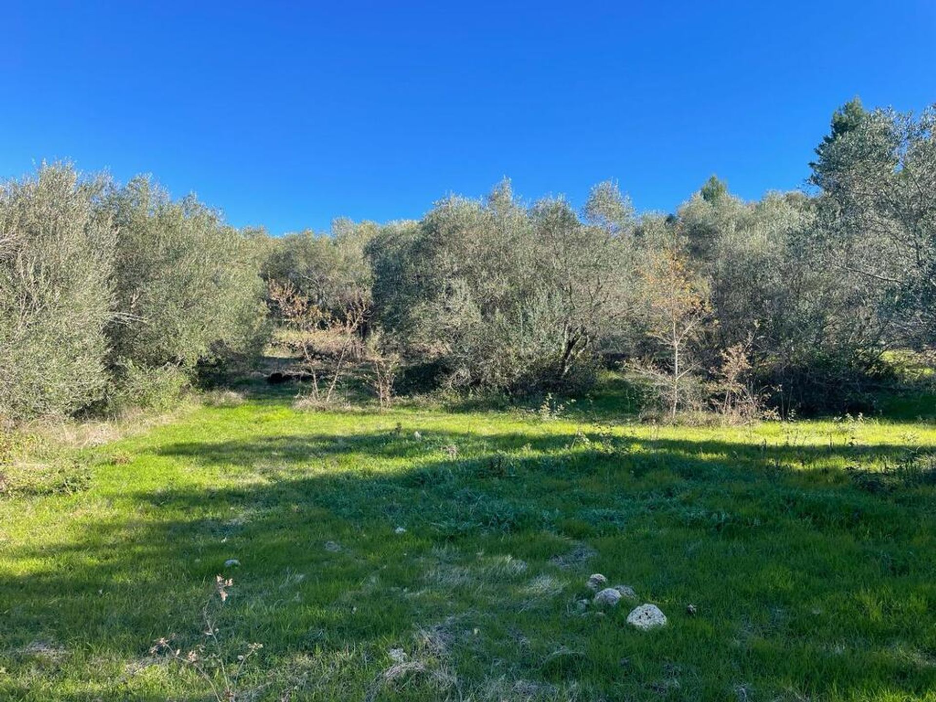 Land in Pikoulatika,  12534748