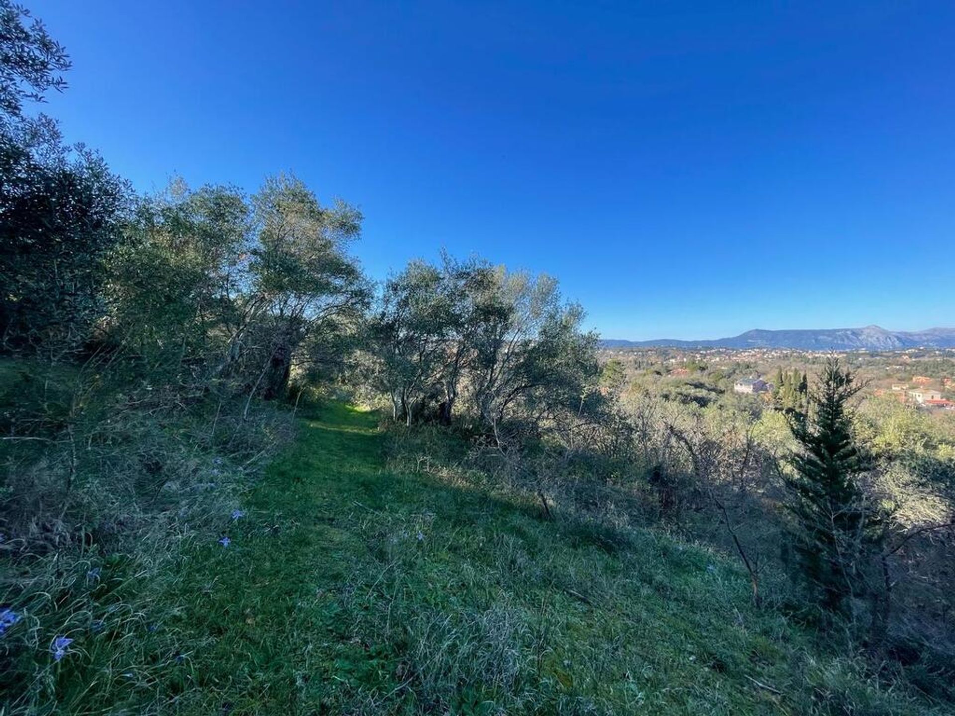 Land in Pikoulatika,  12534748