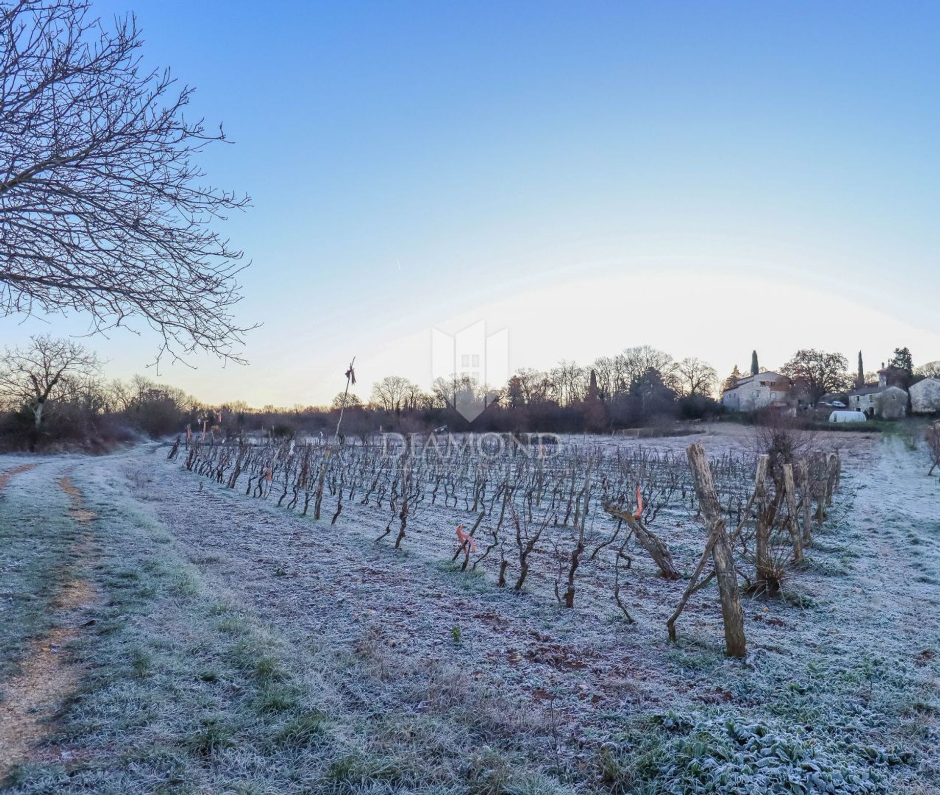 Tanah di Kanfanar, Istria County 12534998