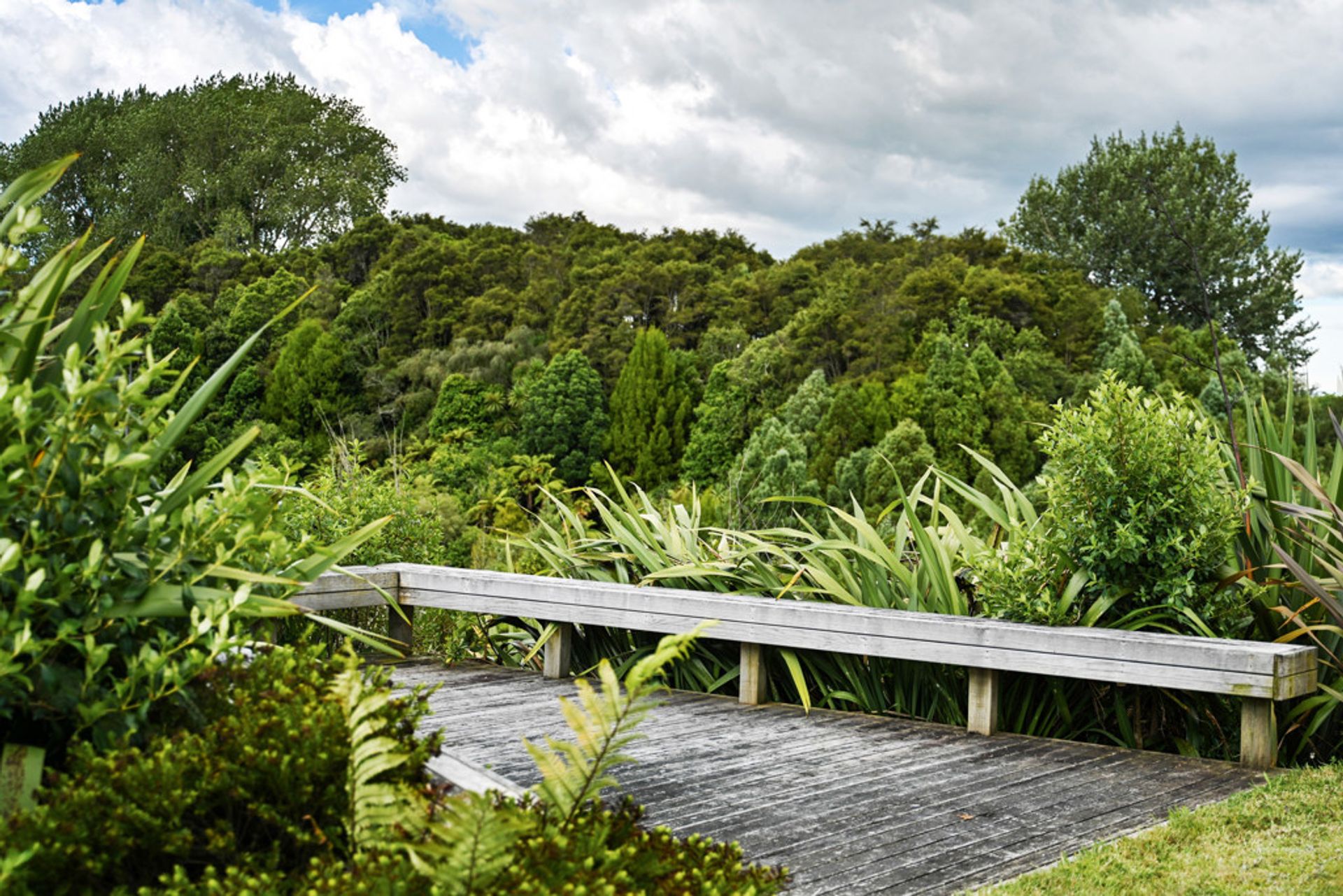 Condominium in Tamahere, Waikato 12536145