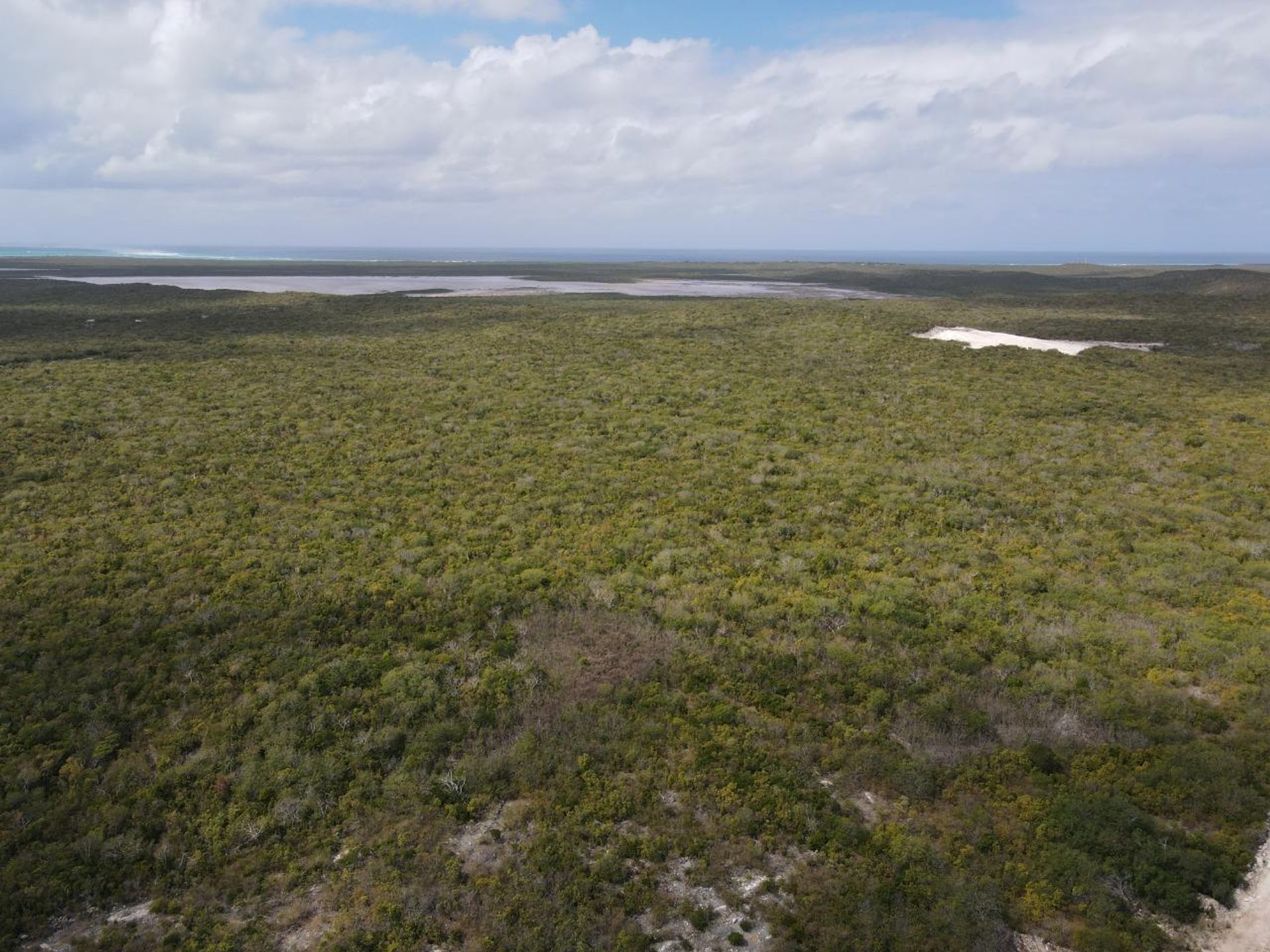 Kondominium di Wheeland Settlement, Caicos Islands 12538145