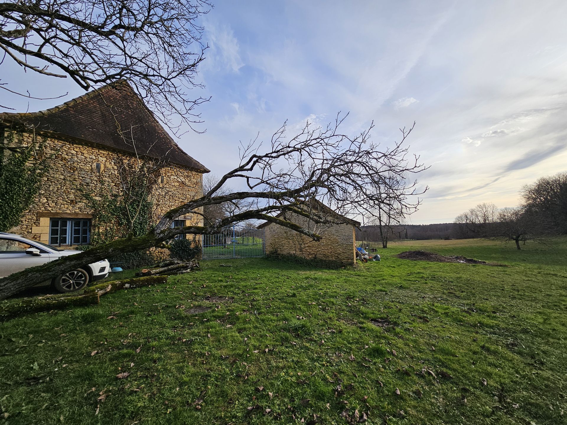 Casa nel Pressignac-Vicq, Nouvelle-Aquitaine 12539716