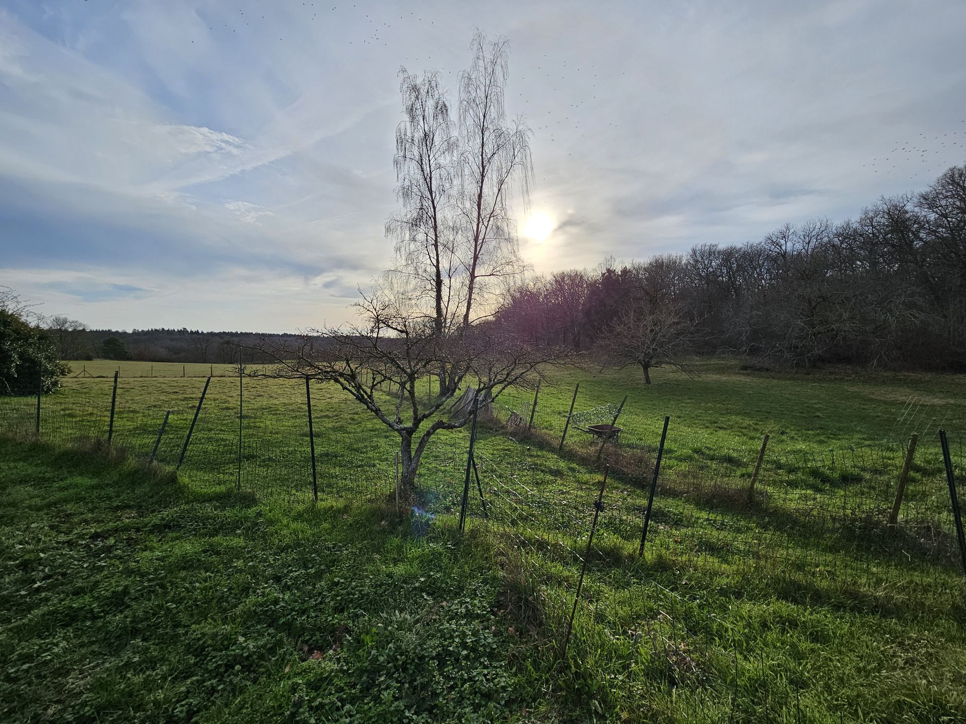 loger dans Pressignac-Vicq, Nouvelle-Aquitaine 12539716