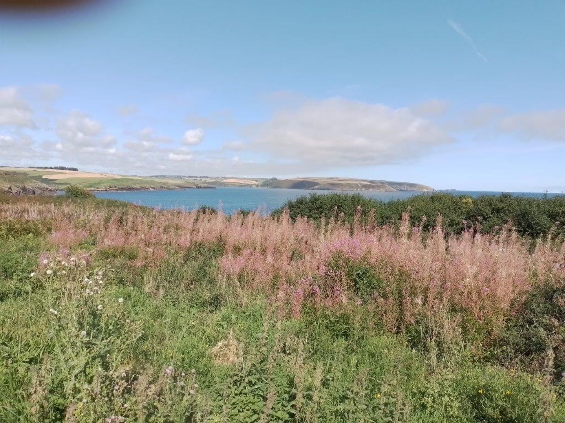 Land im Kinsale, Kork 12539764