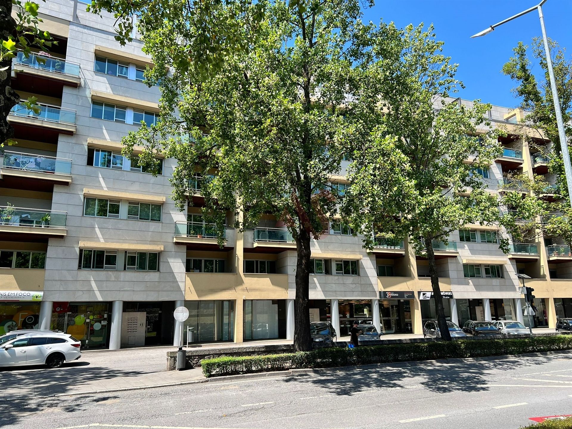 Розничная торговля в Guimaraes, Braga 12539937