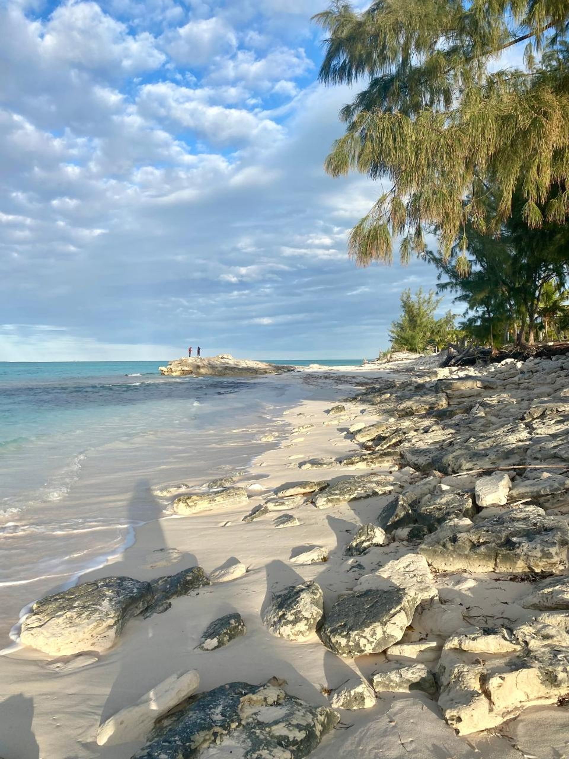 Квартира в , Caicos Islands 12540505