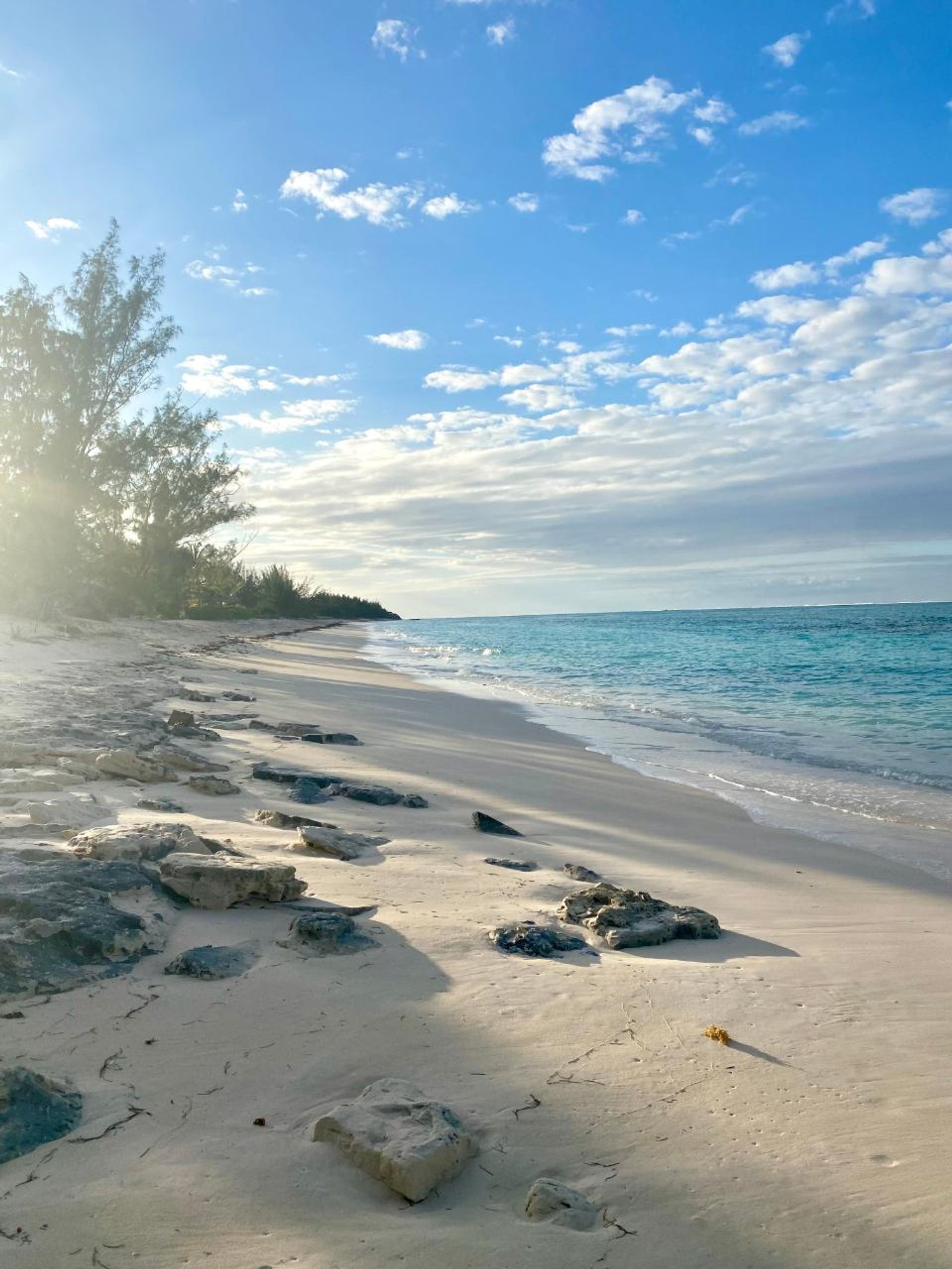 Квартира в , Caicos Islands 12540505