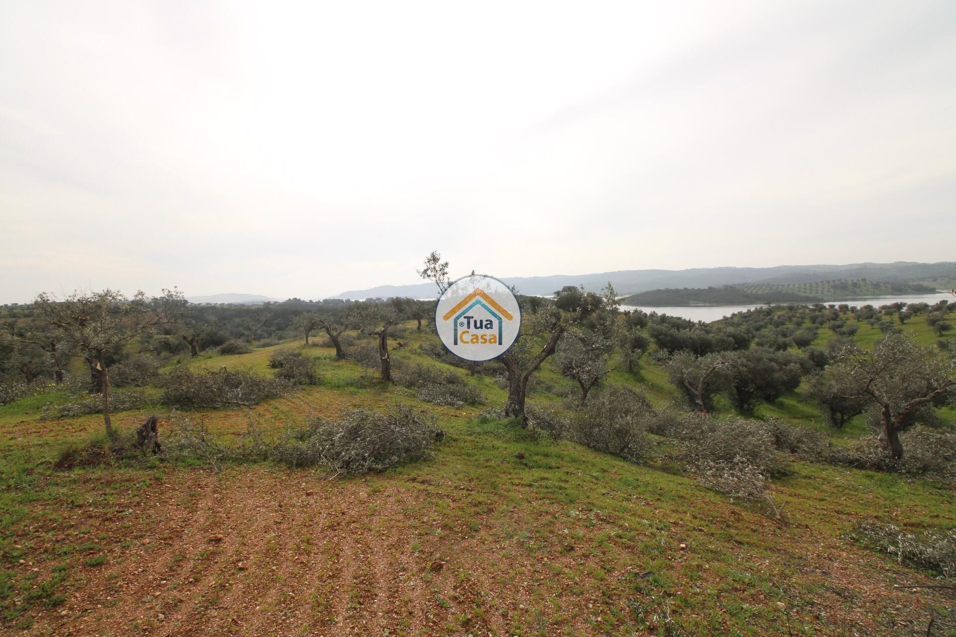 Land in Alqueva, Evora 12540857