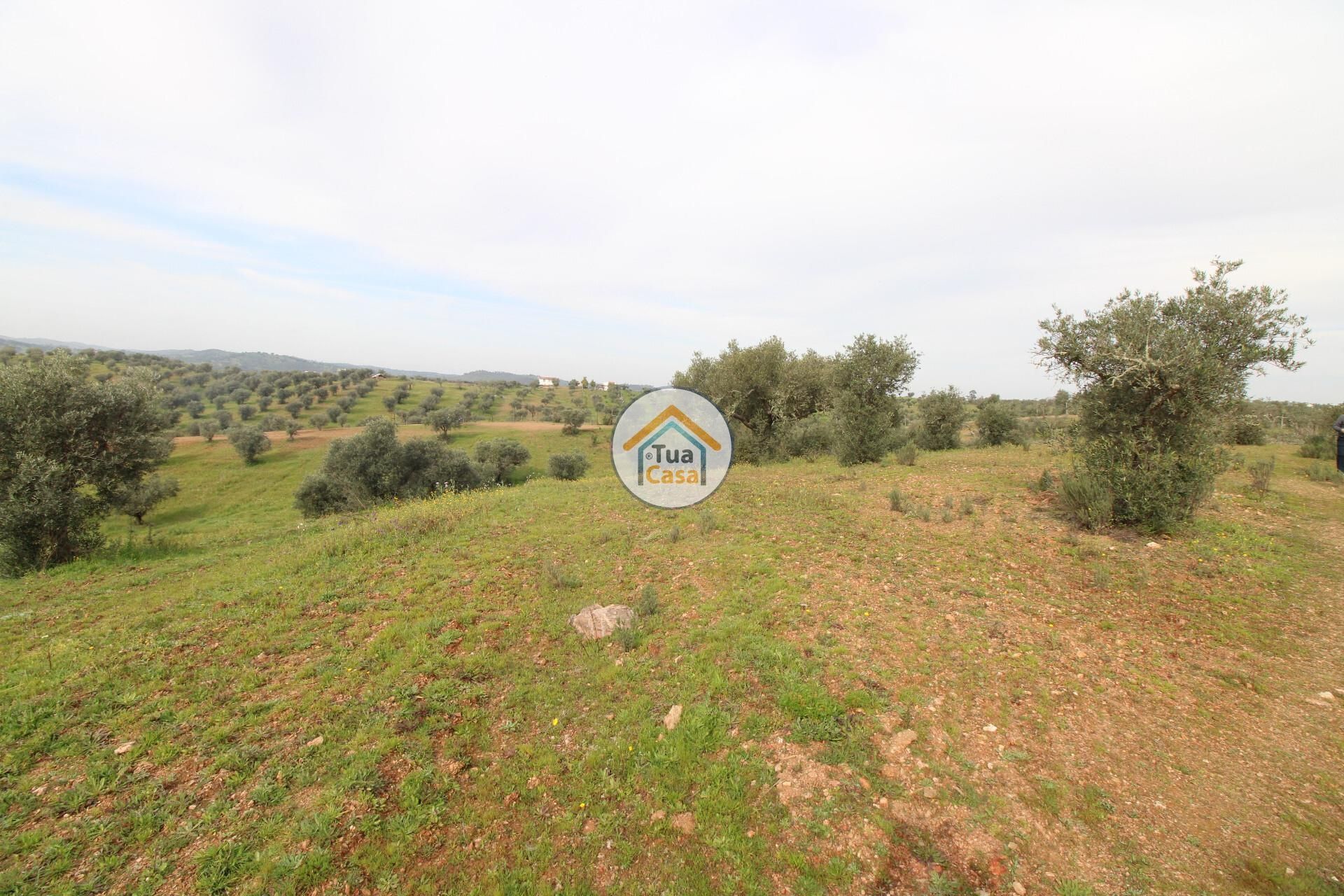 Terre dans Alqueva, Évora 12540857