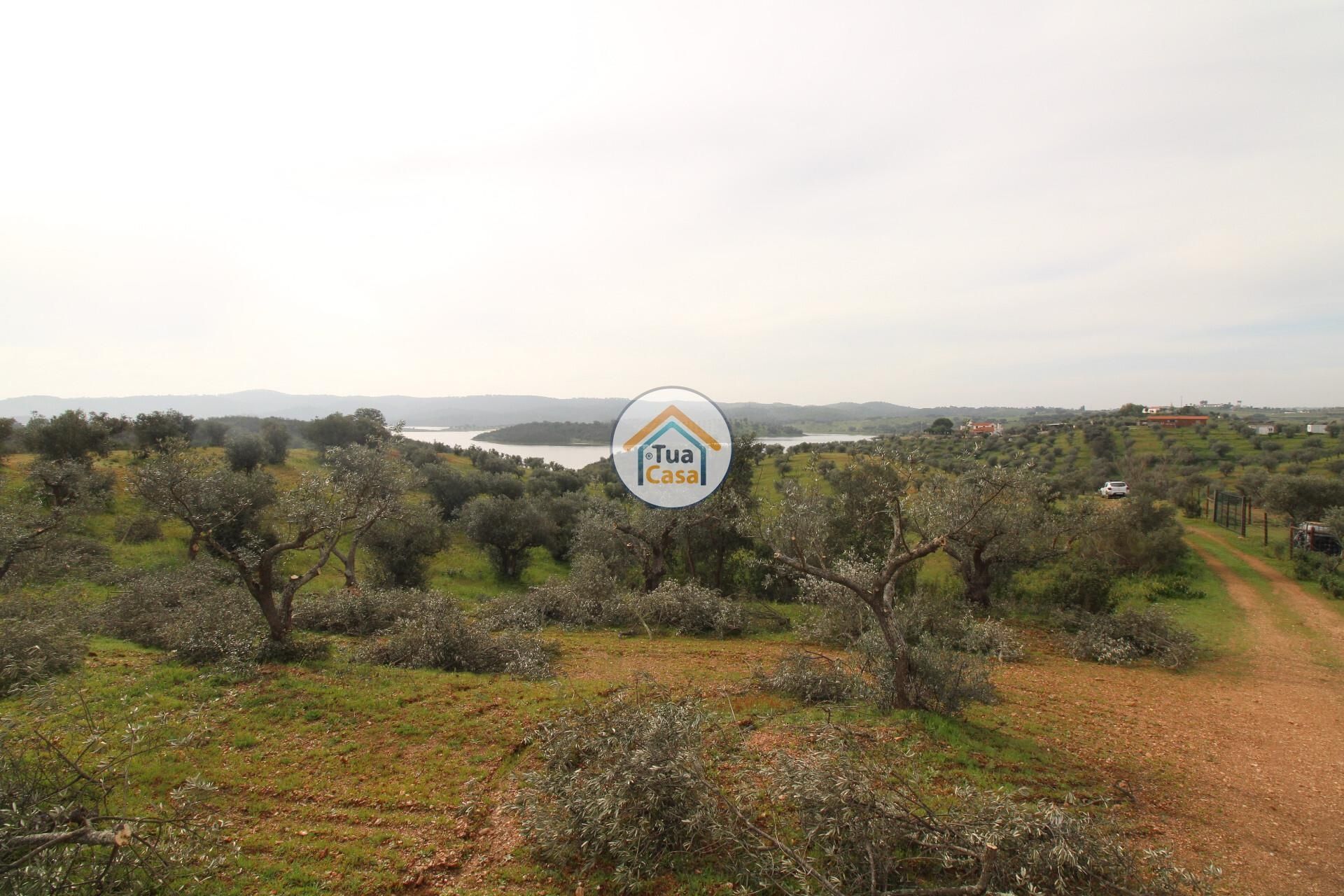 Land in Alqueva, Evora 12540857