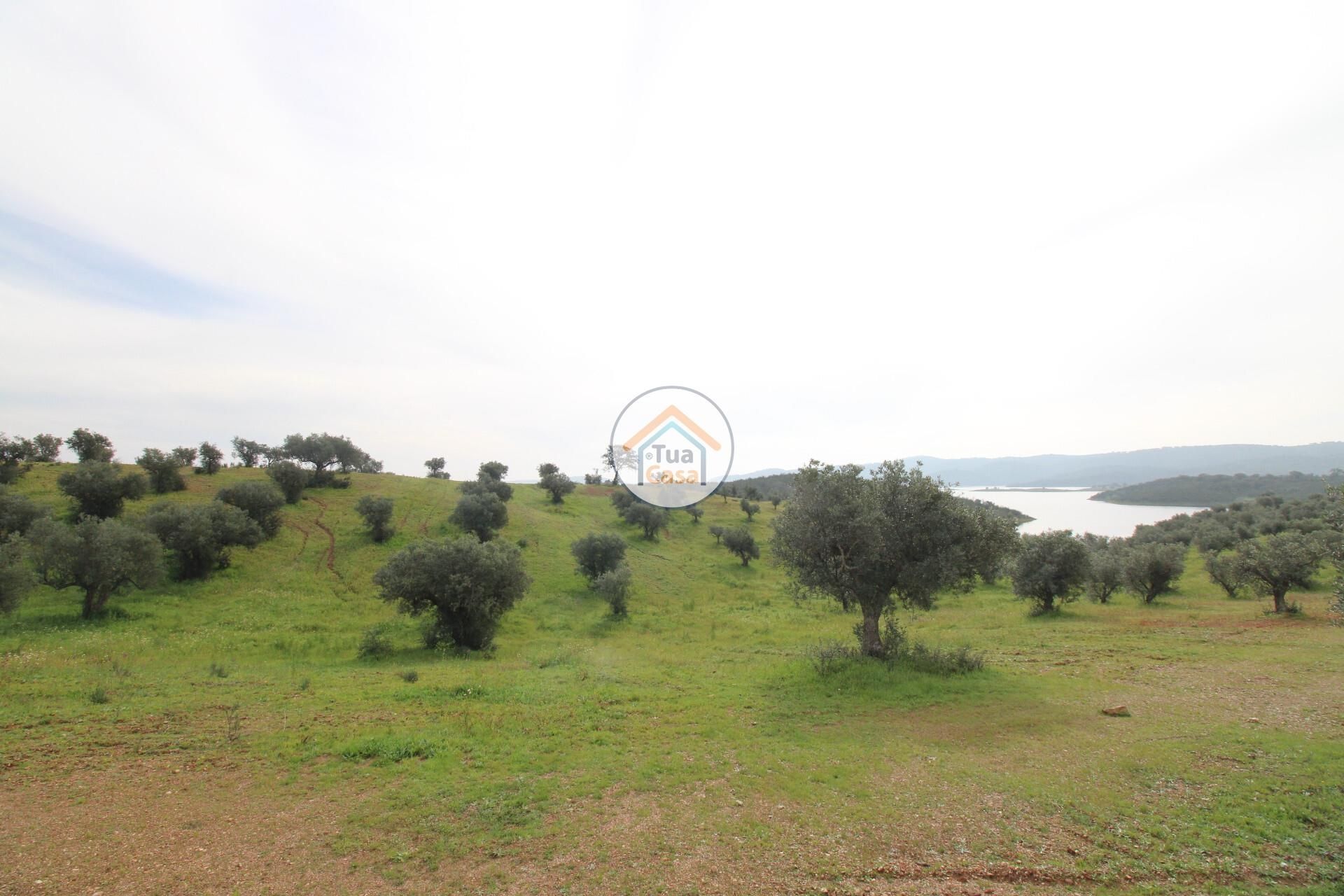 Land in Alqueva, Evora 12540857