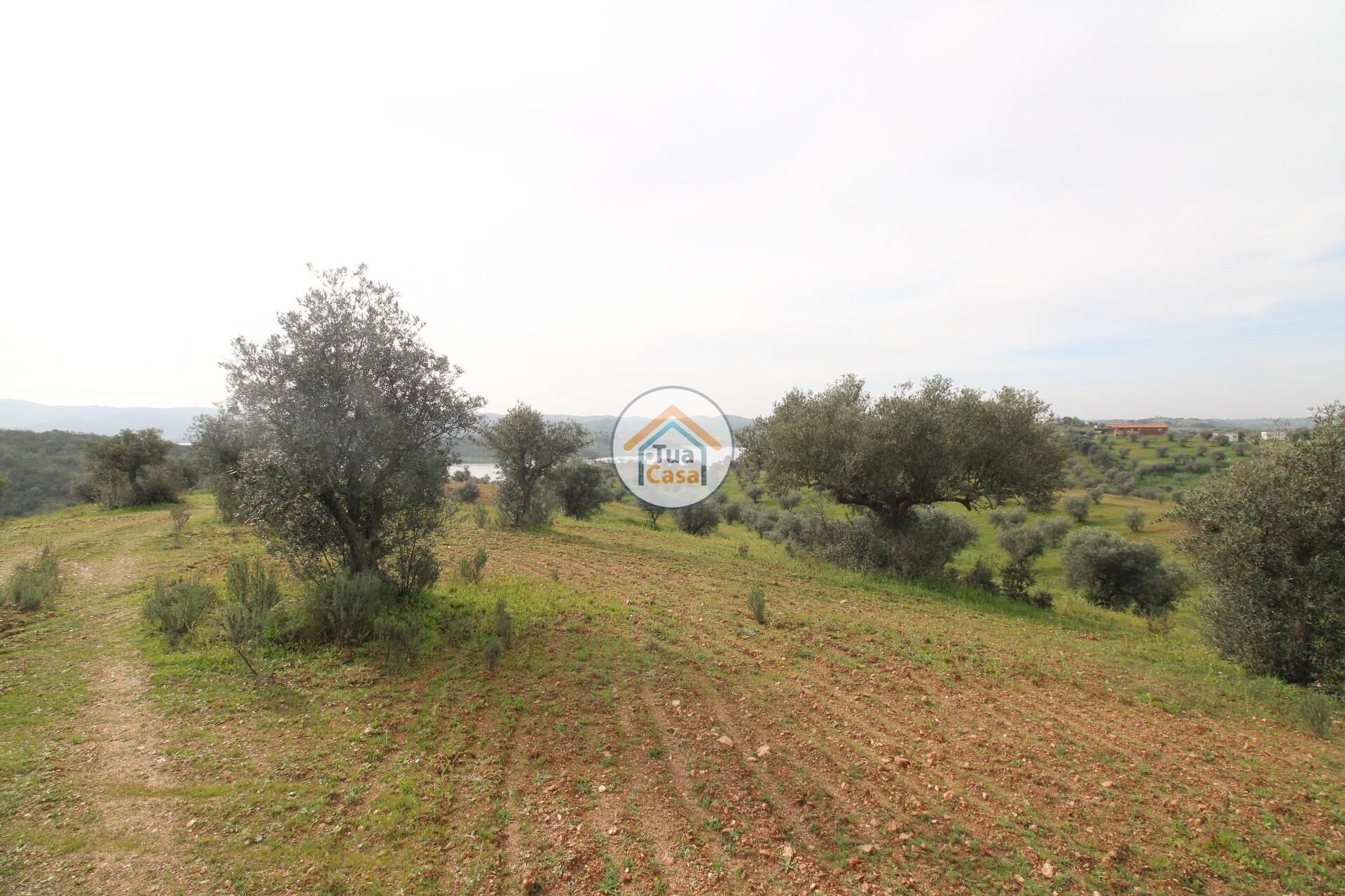 Terre dans Alqueva, Évora 12540857