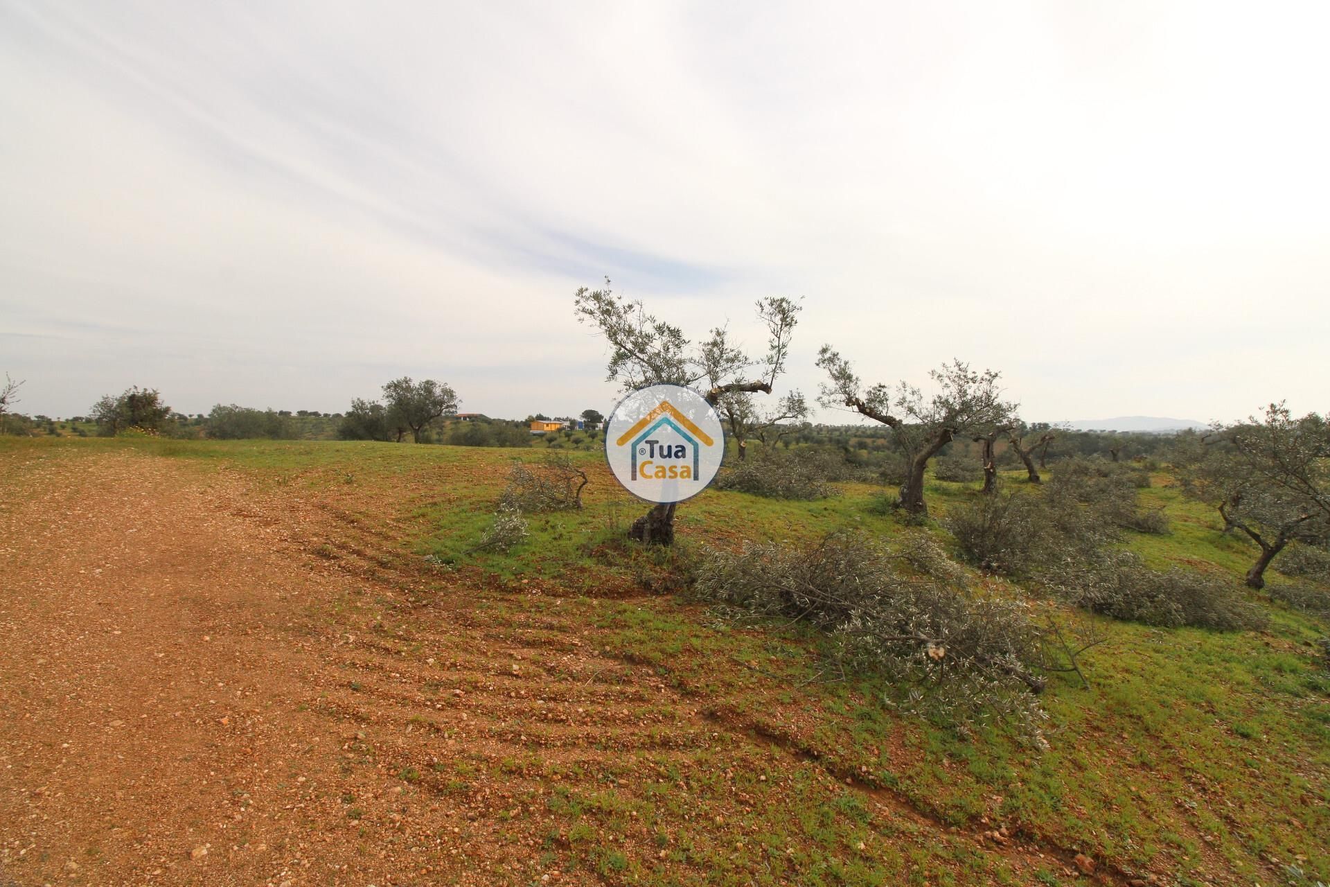 Land i Alqueva, Evora 12540857