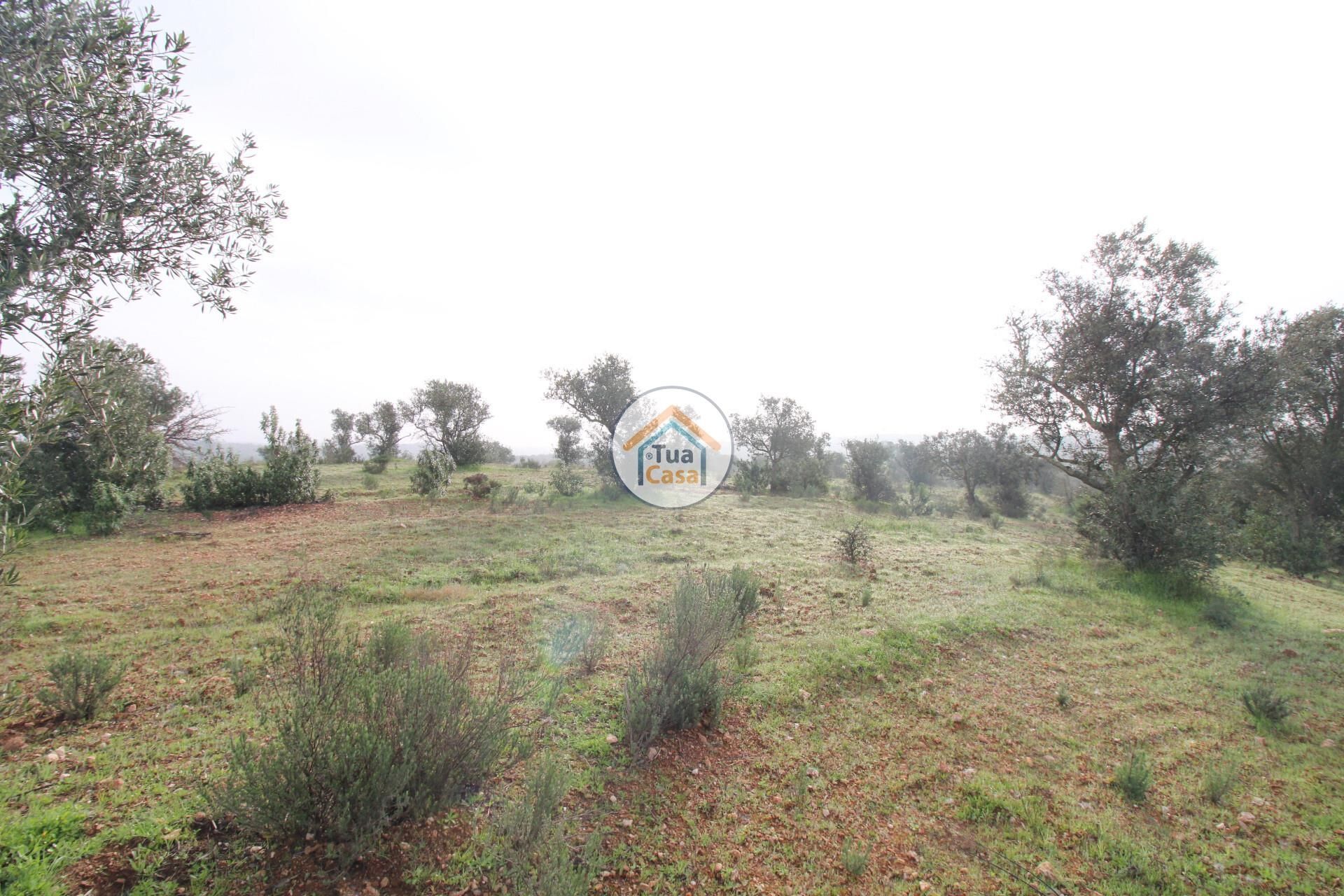 Tierra en Alqueva, Évora 12540858