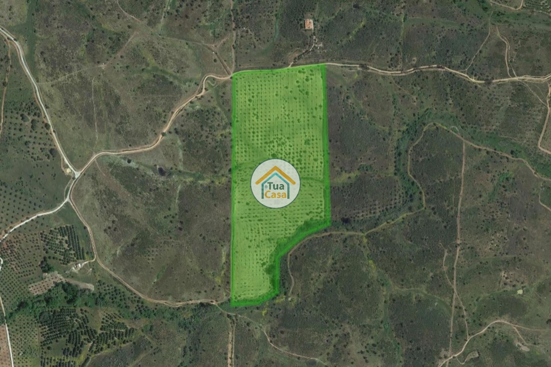 Land i Alqueva, Evora 12540858