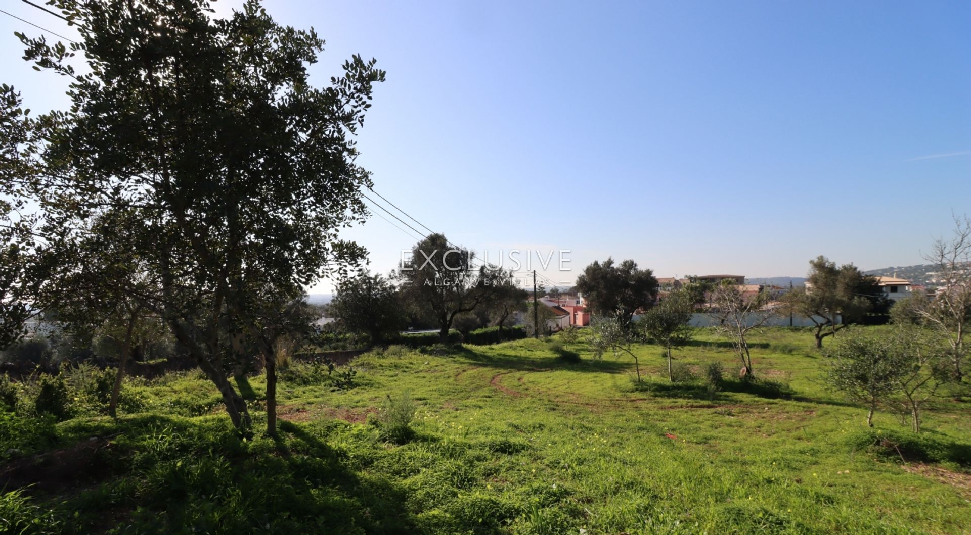 Land in Boliqueime, Faro 12541048